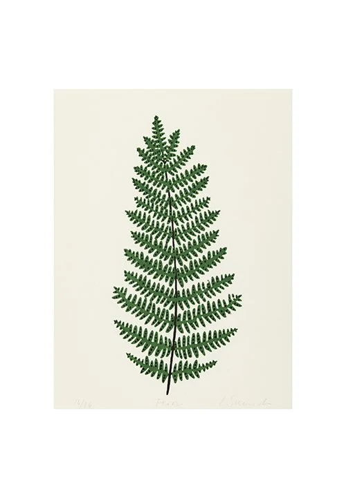 Fern