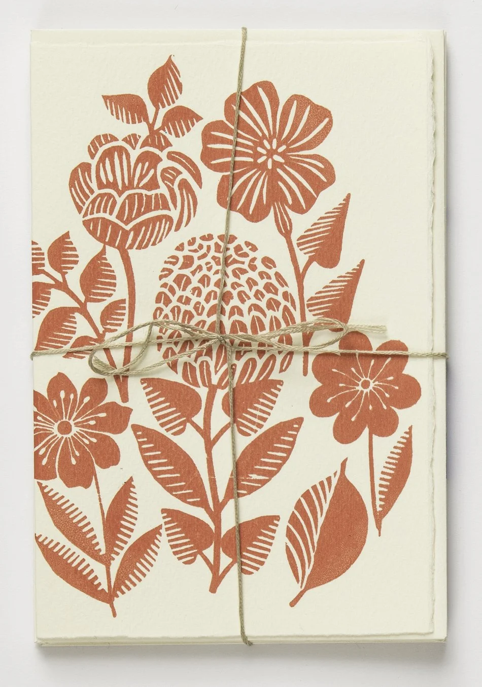 LS-79 copy.jpg dahlia coral.jpg