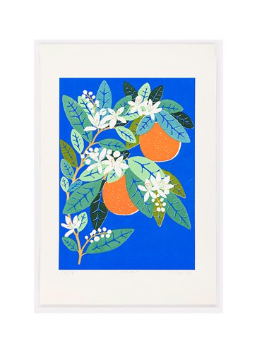Oranges tiny.jpg