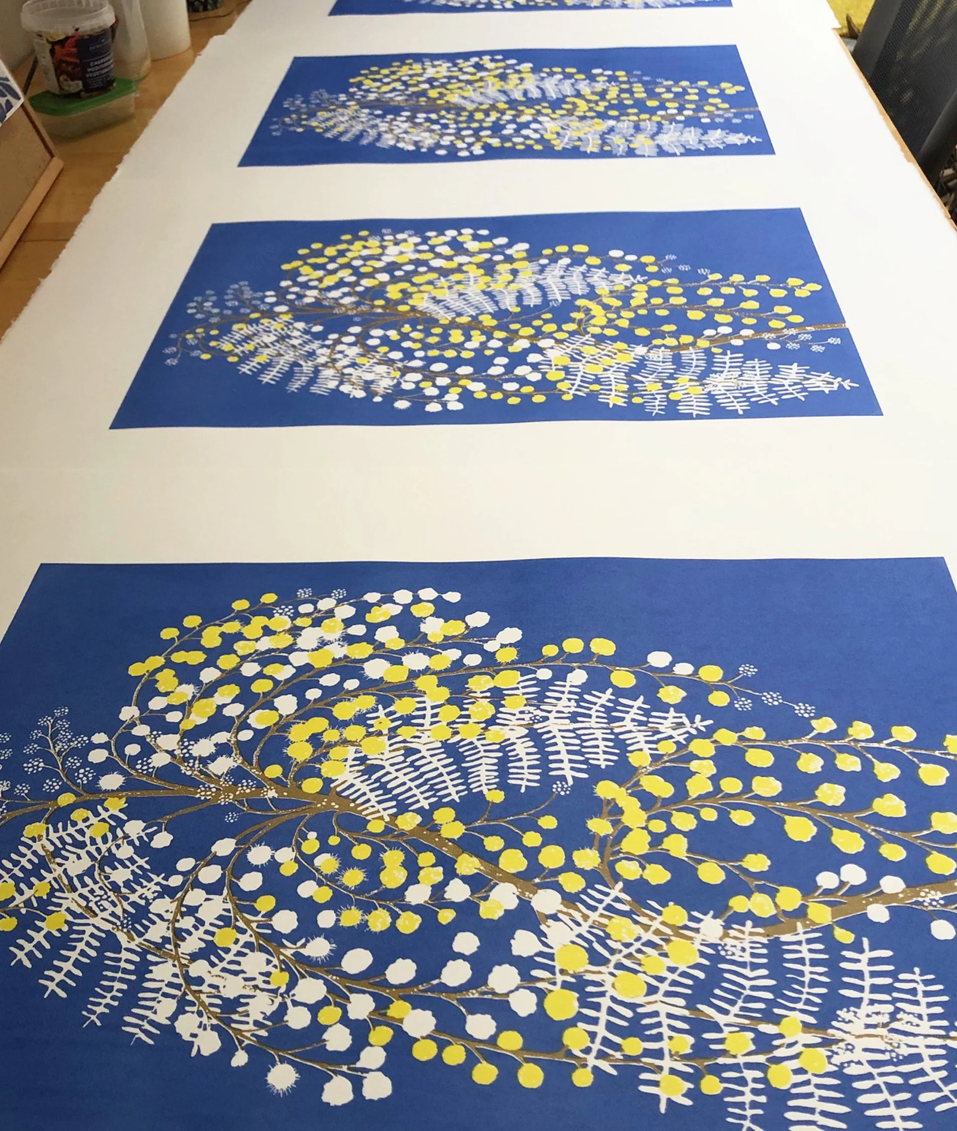 Mimosa WIP .jpg