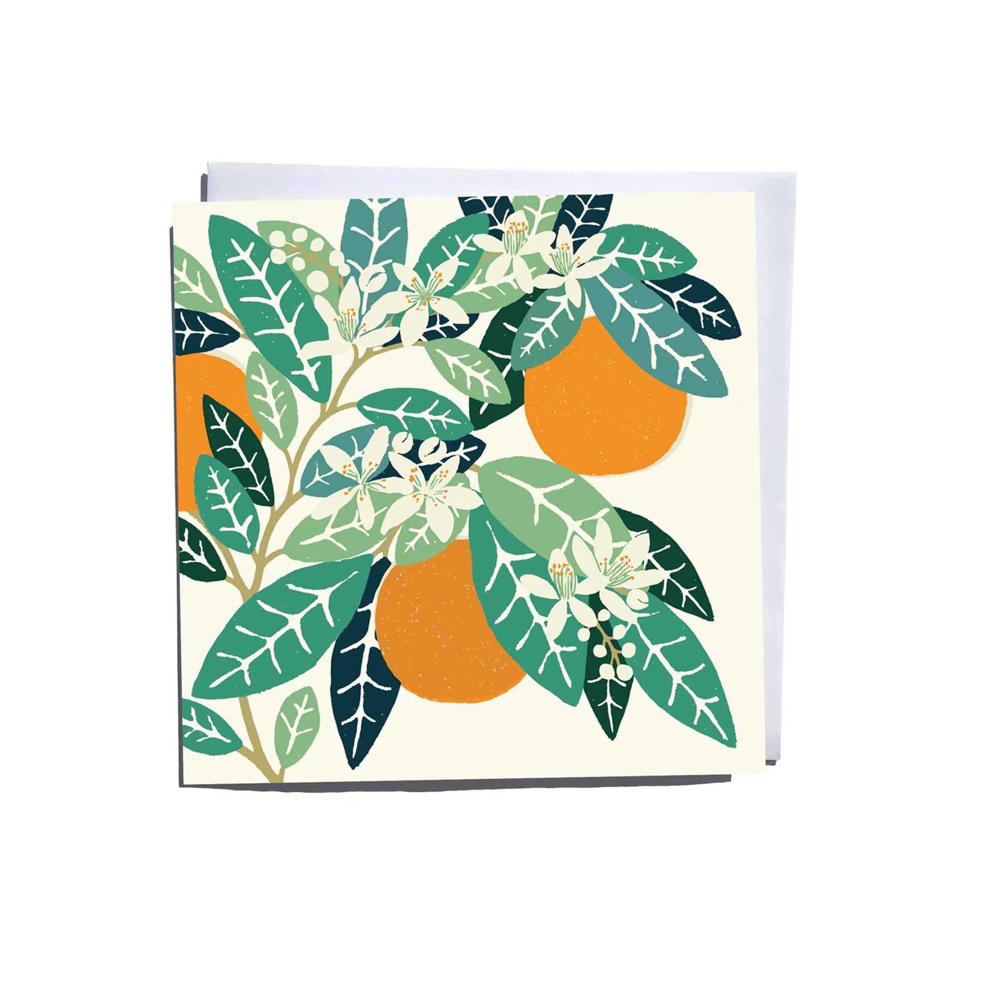 Oranges Blank Art Card