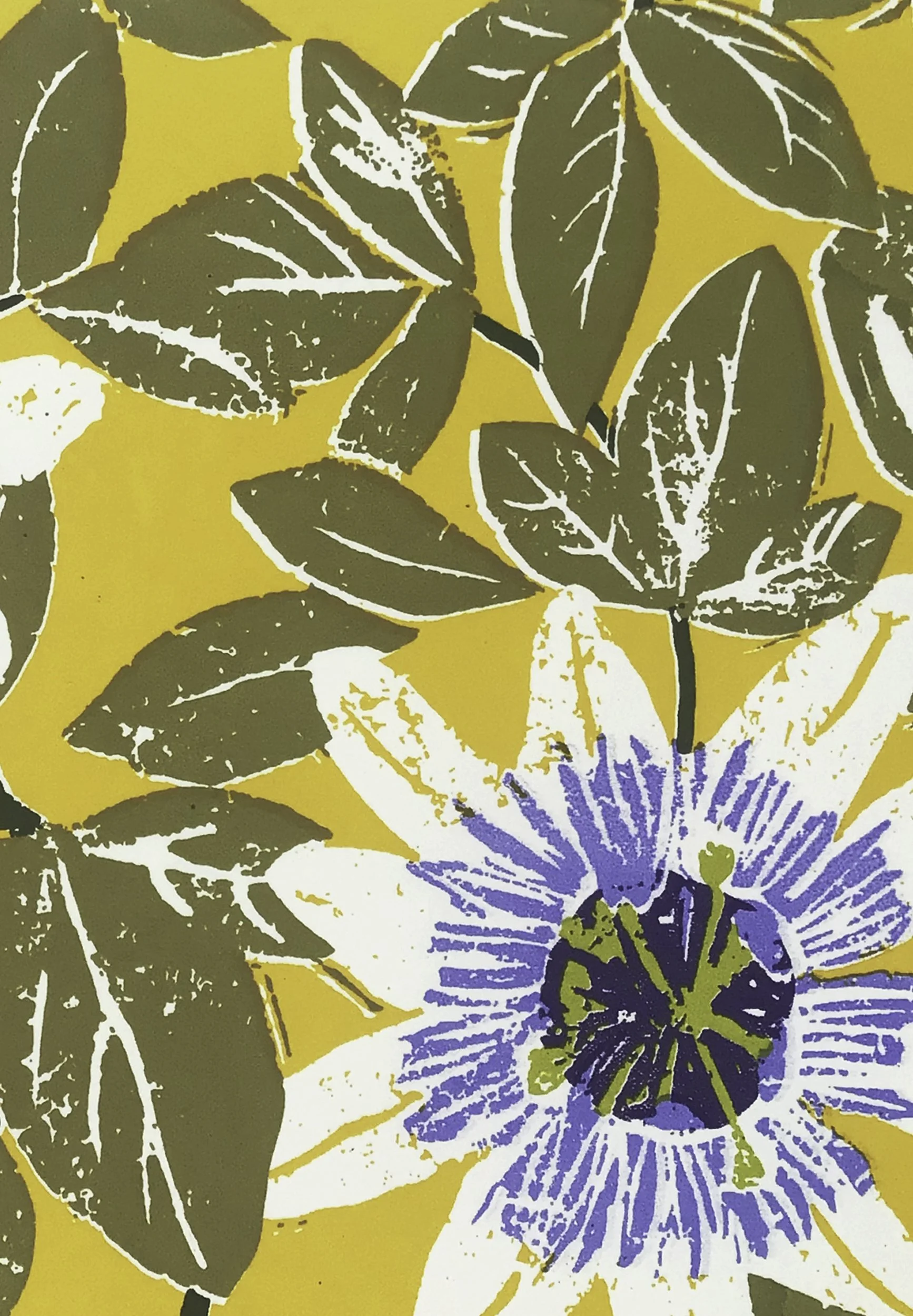Sunflowers close up jpeg.jpg