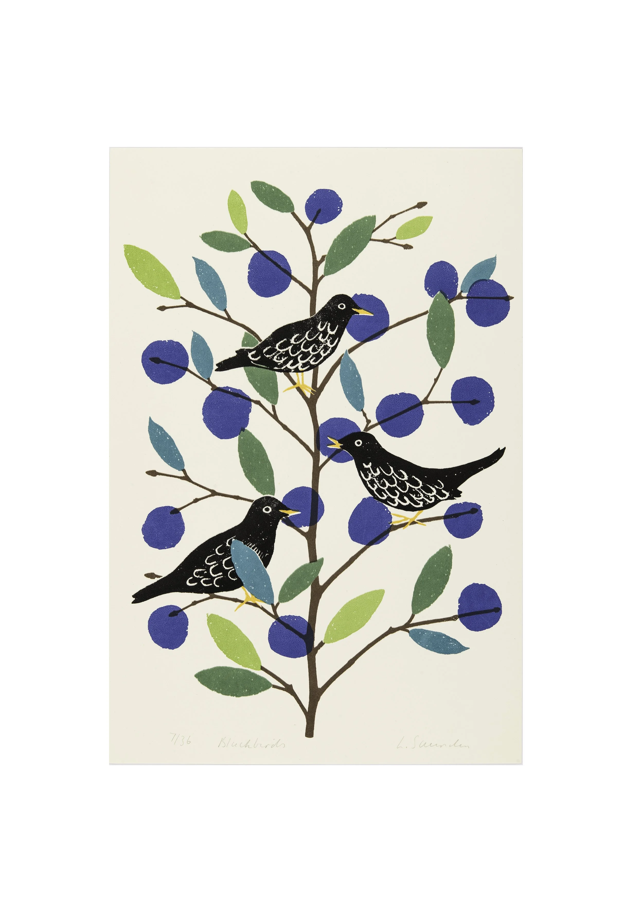 Blackbirds