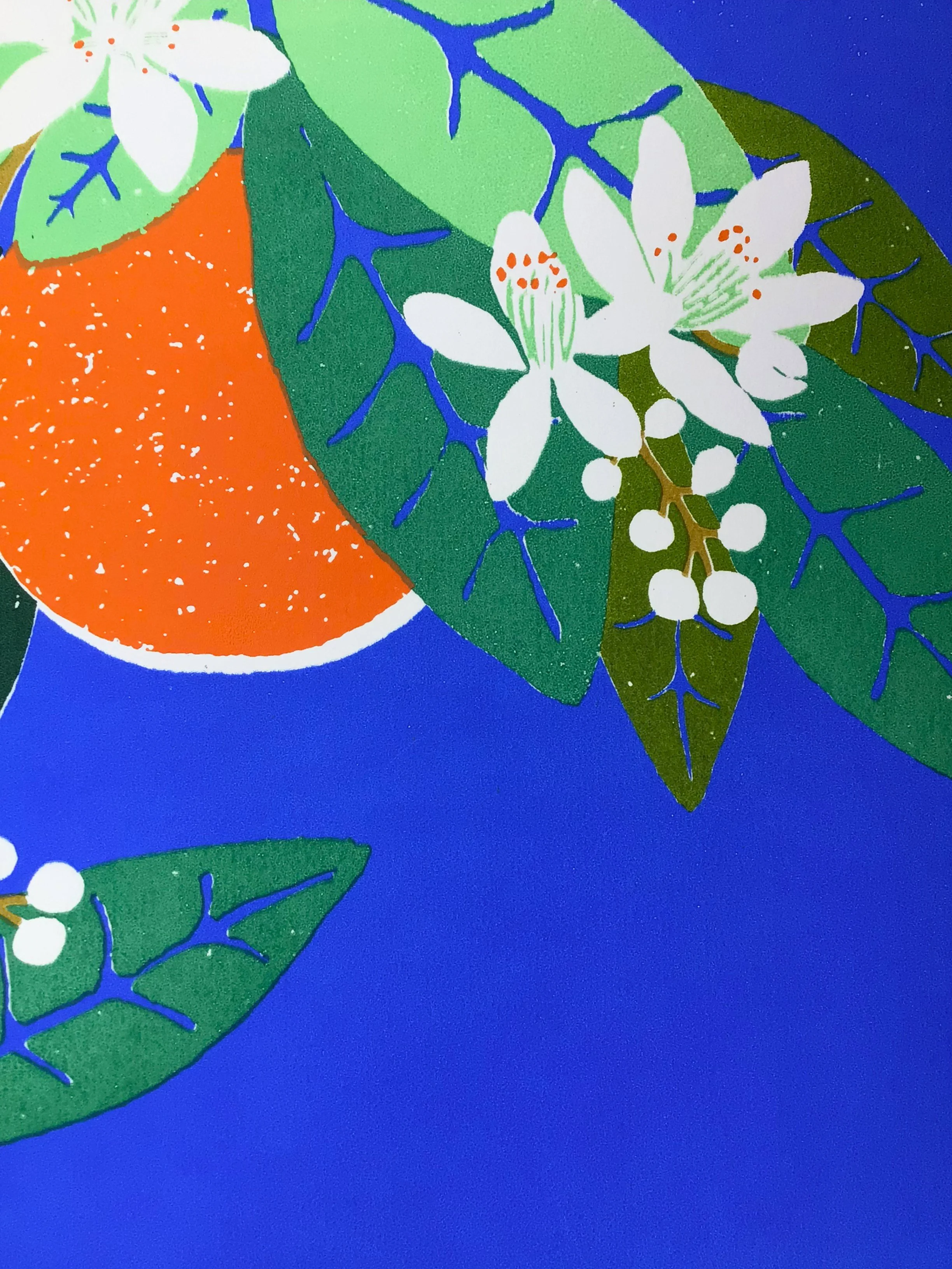 Oranges 003.jpg