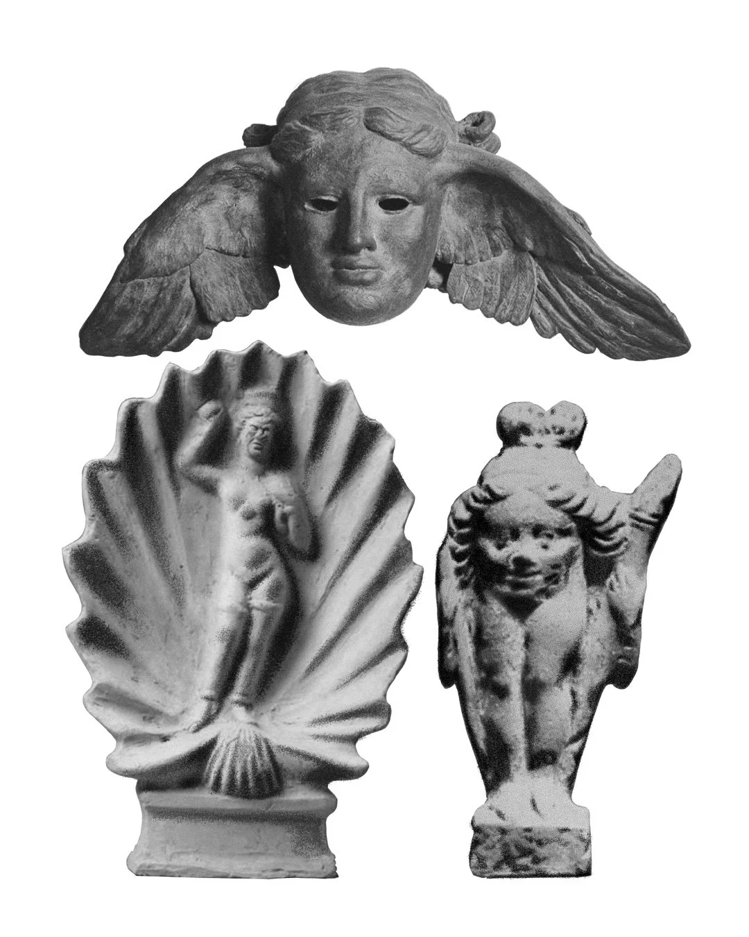 IMG_2869.jpeg