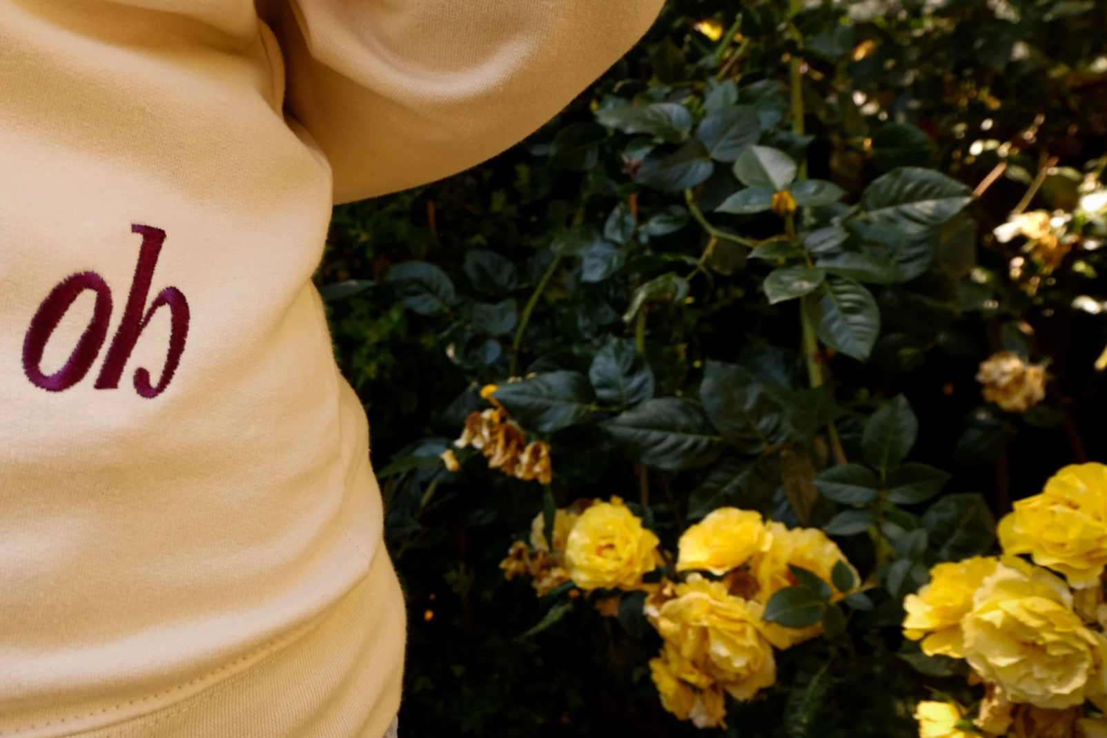 Part of a person wearing a white shirt with the word 'oh' embroidered in purple, standing next to yellow roses and green foliage.