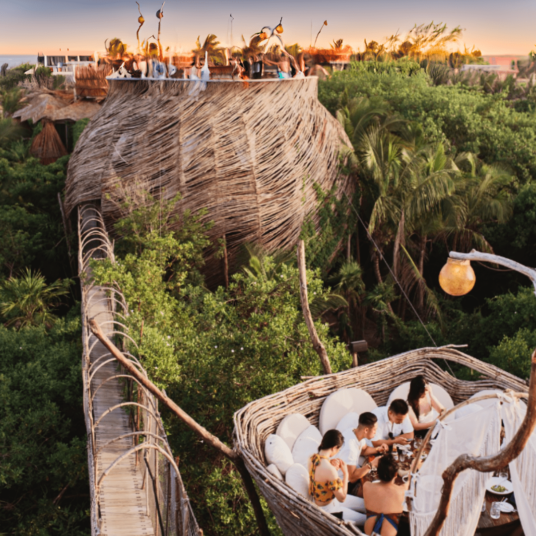 People dining on a bamboo treehouse restaurant surrounded by lush greenery and palm trees at sunset.