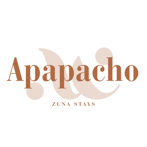 Logo for Apapacho Zuna Stays featuring stylized text with playful design elements in brown and black.