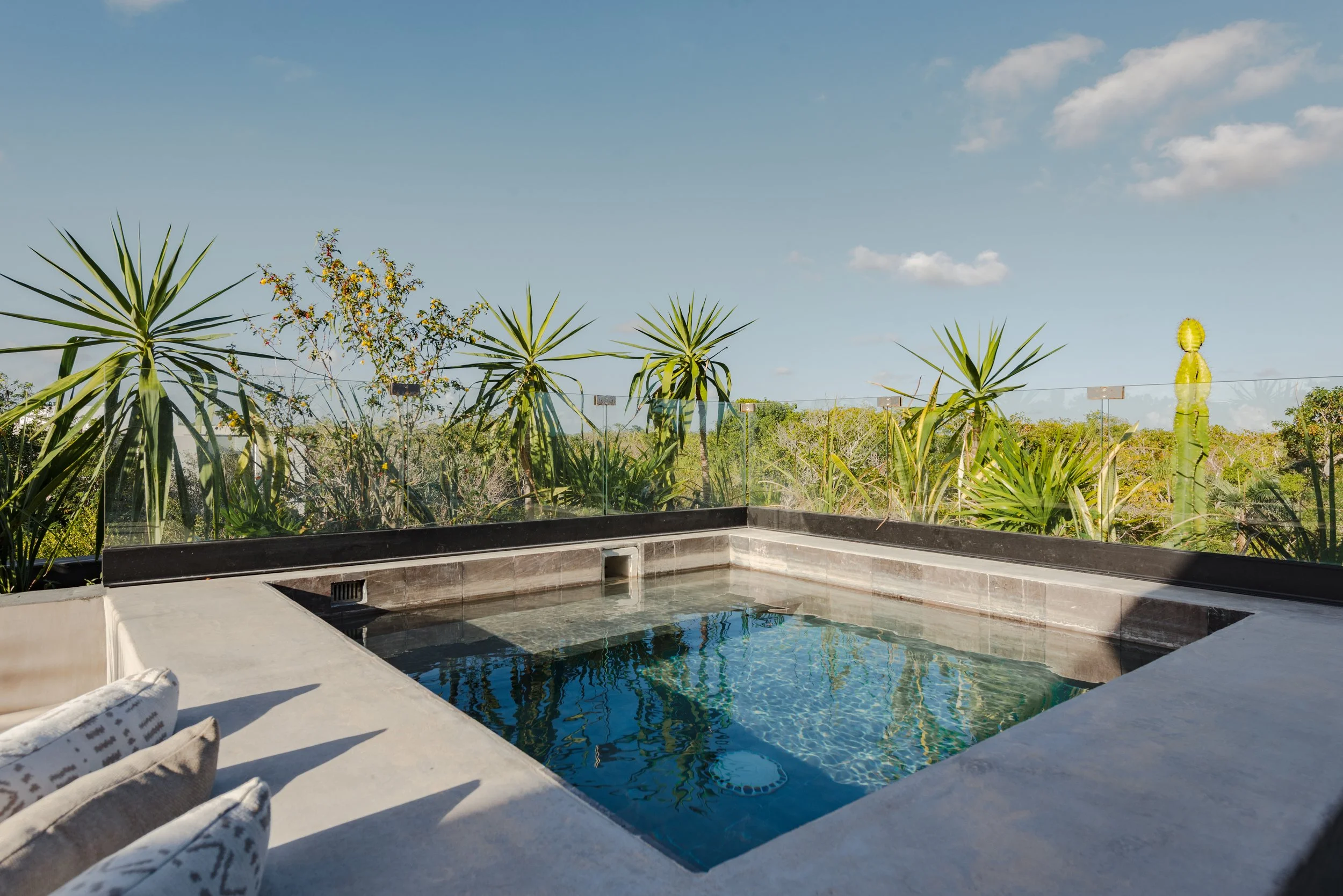 View of an infinity pool with a glass safety barrier, surrounded by green plants and cacti, under a clear blue sky with a few white clouds.
