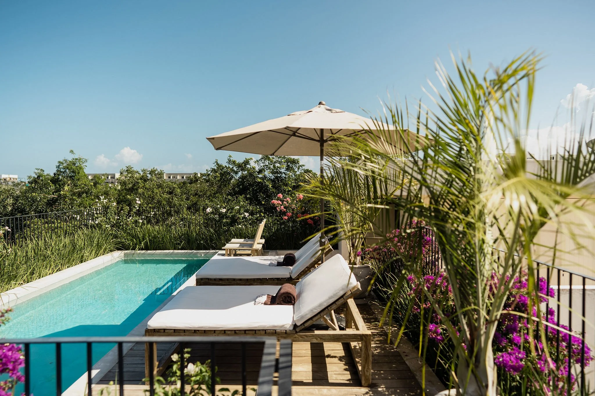 Poolside area with lounge chairs under a large umbrella, surrounded by lush green plants and pink flowers, with a view of a clear blue sky and distant buildings.