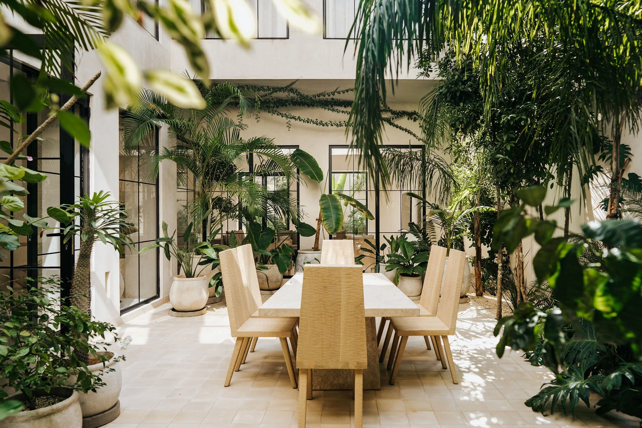 A bright indoor space with a long wooden dining table and matching chairs surrounded by lush green plants in large planters. Large windows let in natural light, and the area has a modern, minimalist design with white walls and a tiled floor.