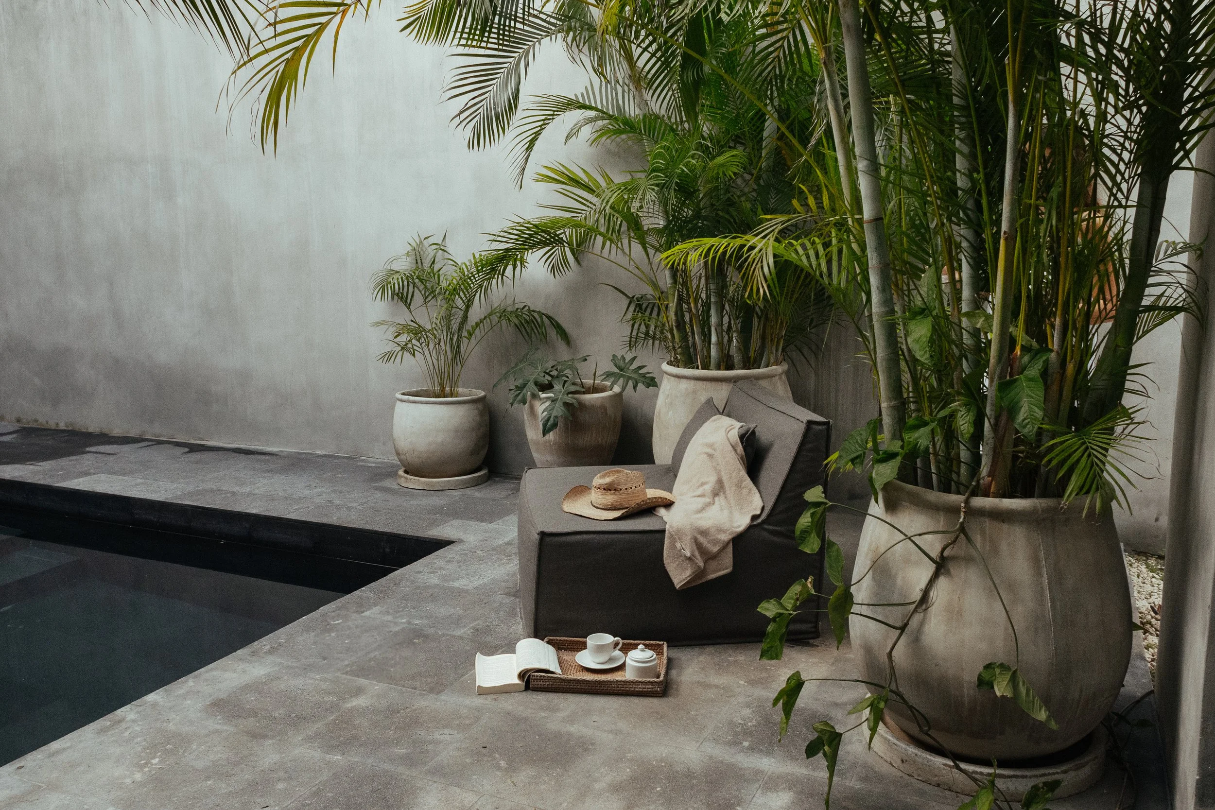 Indoor space with large potted tropical plants, a gray sofa draped with a beige throw and a straw hat, a tray with a teapot and teacup, and a book on the floor, against a plain light wall.