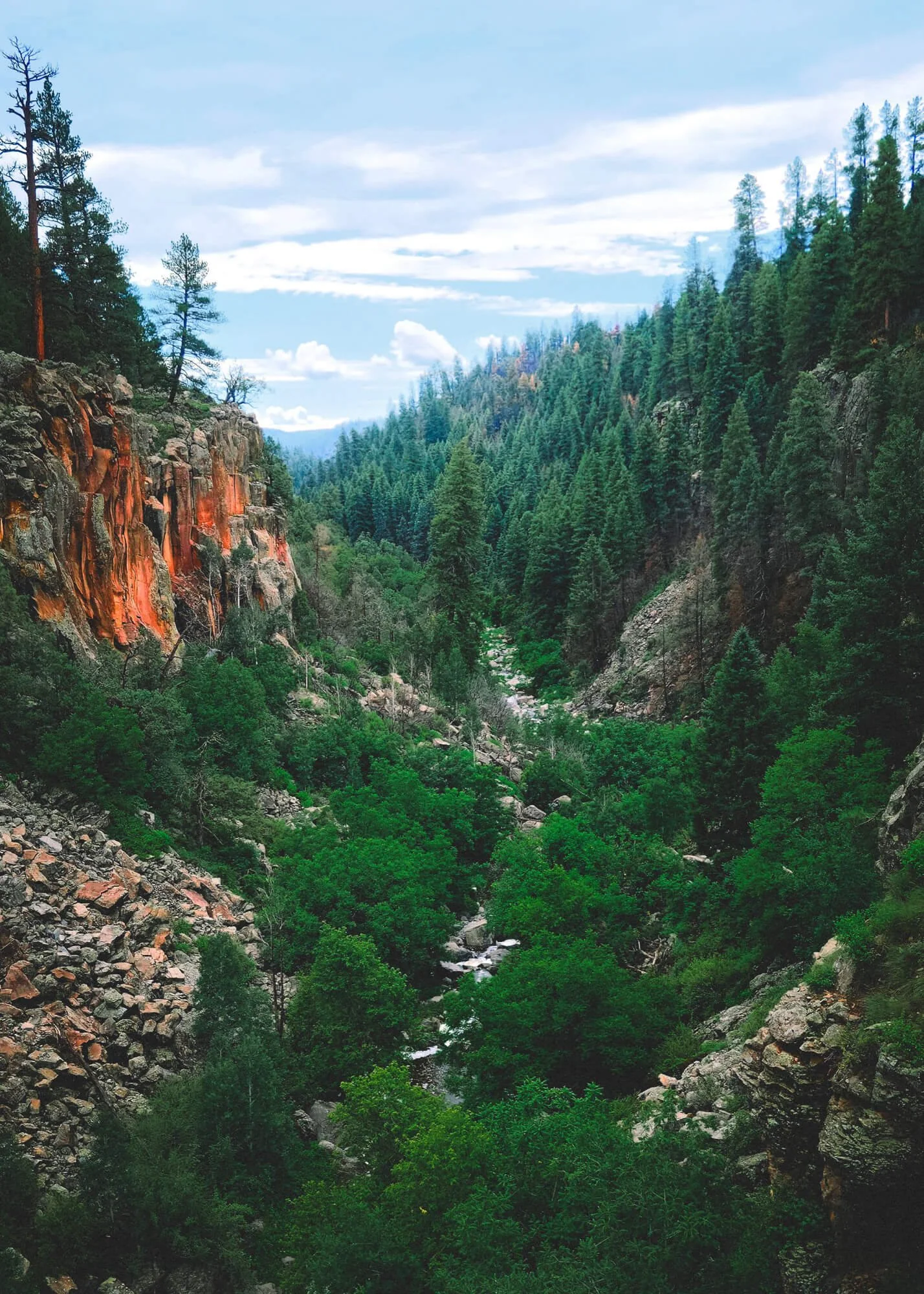 A lush green valley with a river flowing through it, surrounded by tall pine trees and rocky cliffs under a partly cloudy sky.