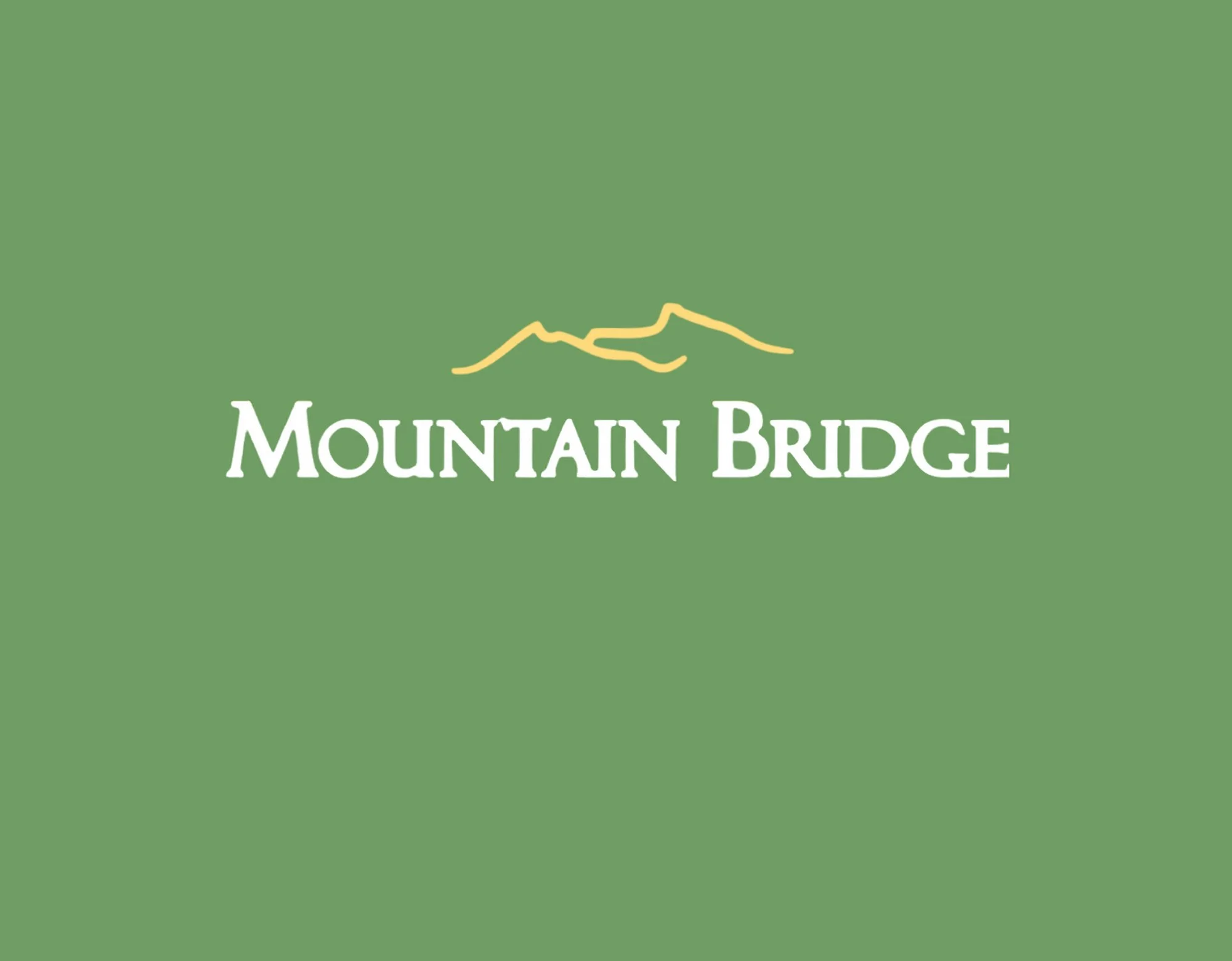Branding-Mountain Bridge-18.jpg