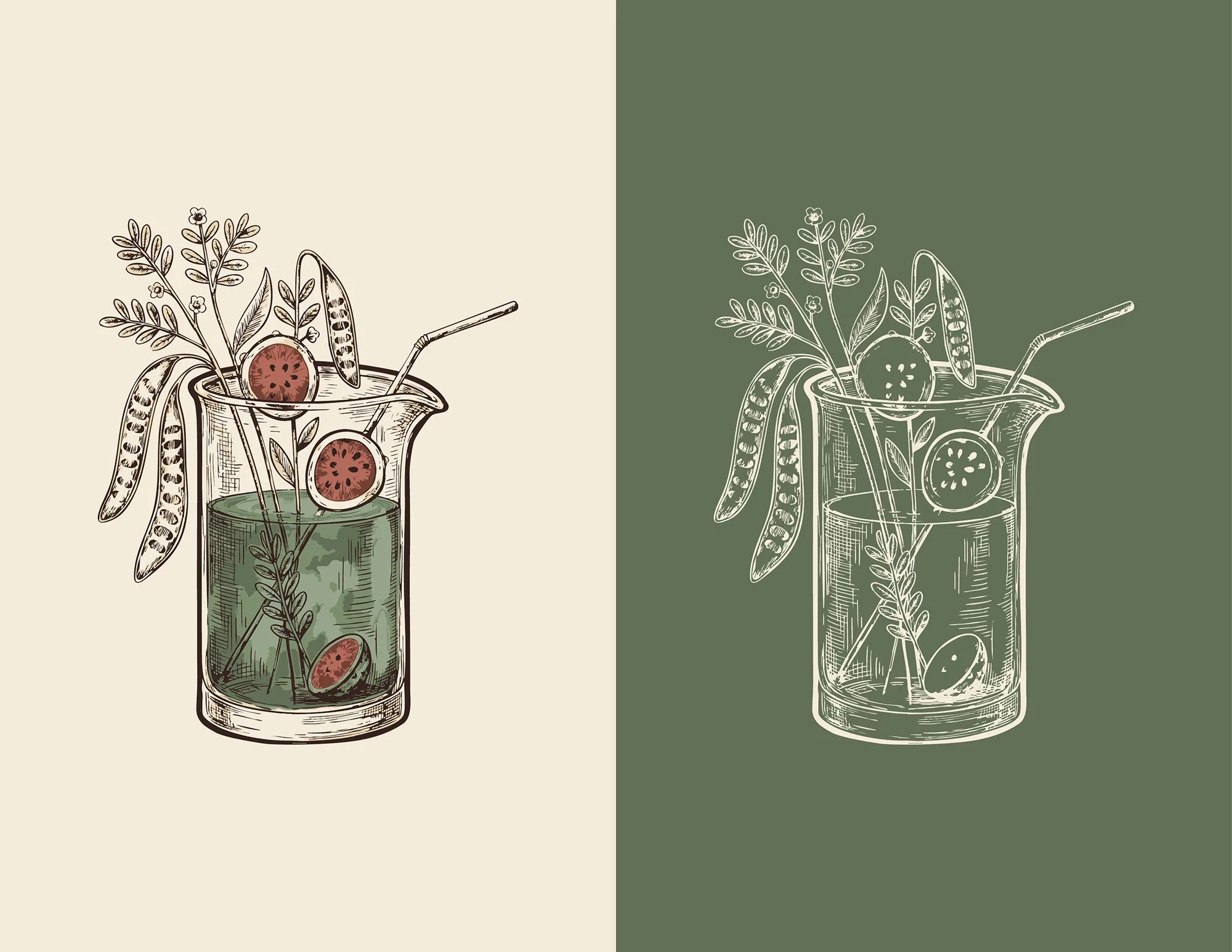 Brand Icon: A custom, hand-drawn prickly pear cactus illustration, representing the brand's Sonoran Desert roots.