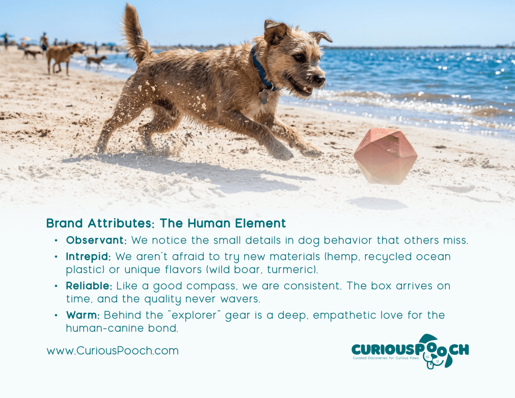Curious Pooch_Branding Kit_012.png