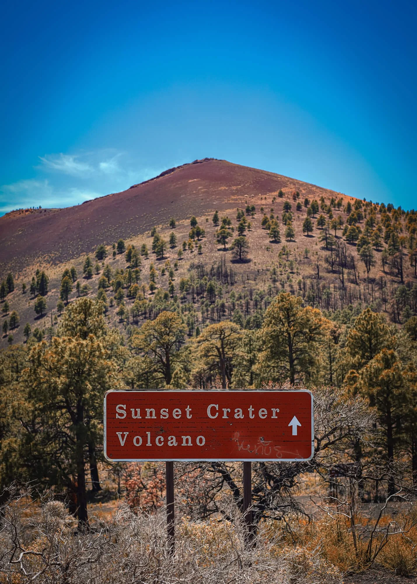 A road sign indicating the direction to Sunset Crater Volcano, with a mountain covered in scattered trees and dry vegetation under a clear blue sky in the background.
