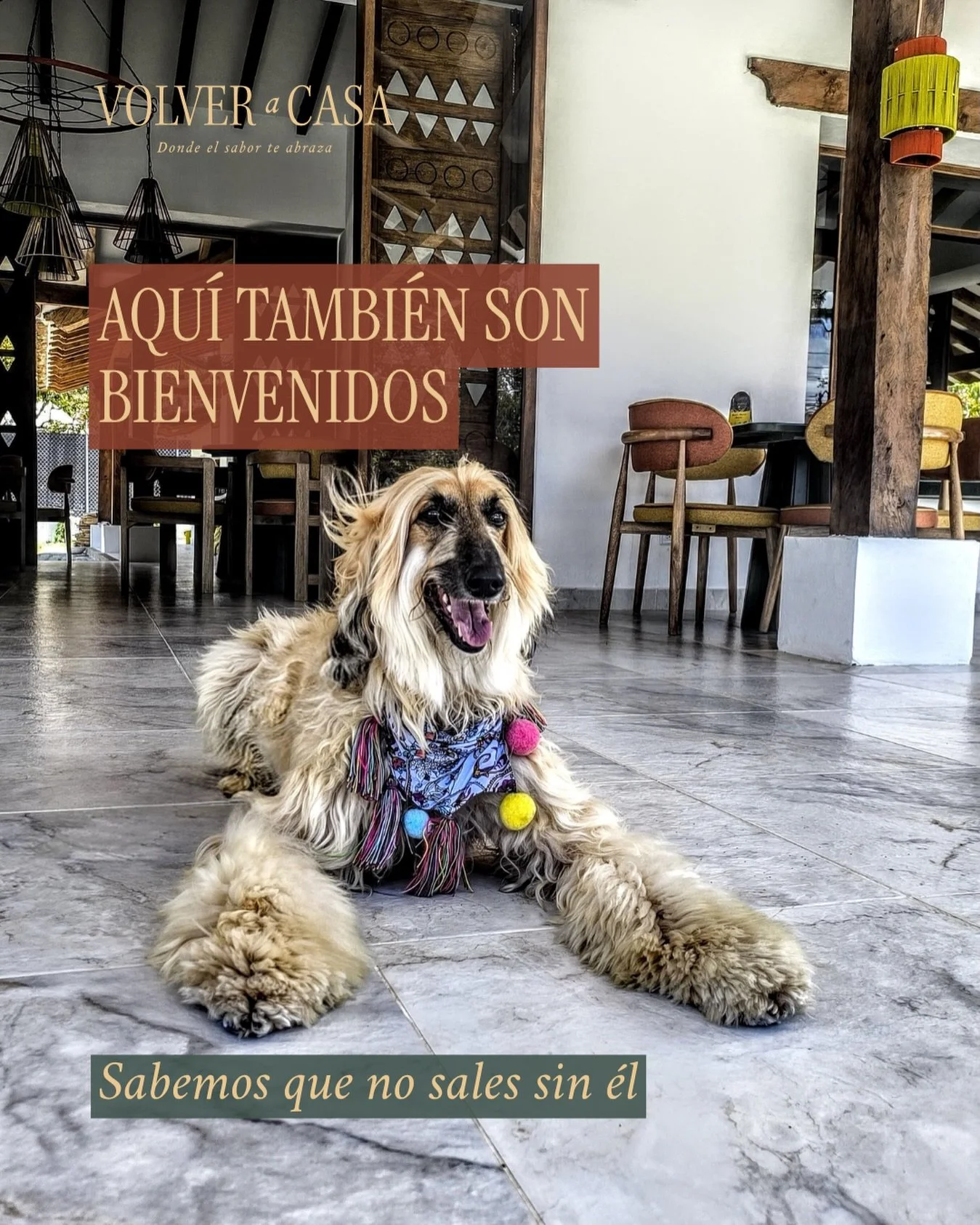 Sabemos que no sales sin &eacute;l.
Y la verdad&hellip; no deber&iacute;as tener que hacerlo.

Porque los mejores momentos no se disfrutan a medias.

En Volver a Casa creemos que la experiencia es completa
cuando est&aacute;s con quienes amas&hellip;