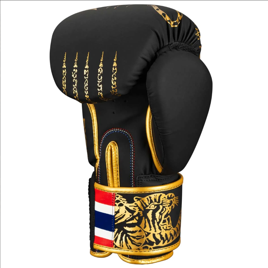 Phantom_Boxing_Gloves_Muay_Thai_Black_Gold_3.jpg.png