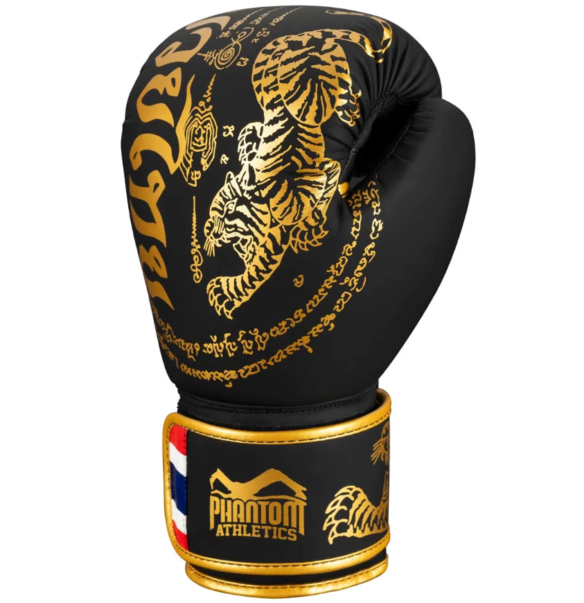 Phantom_Boxing_Gloves_Muay_Thai_Black_Gold_2.jpg.png
