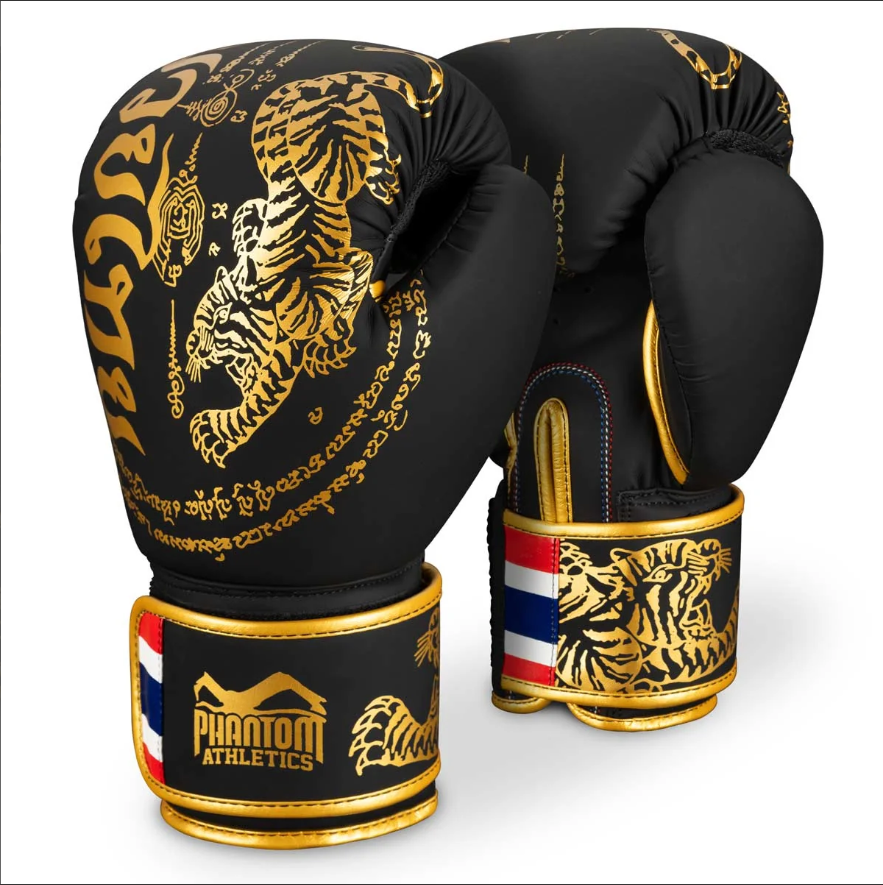 Phantom_Boxing_Gloves_Muay_Thai_Black_Gold.jpg.png