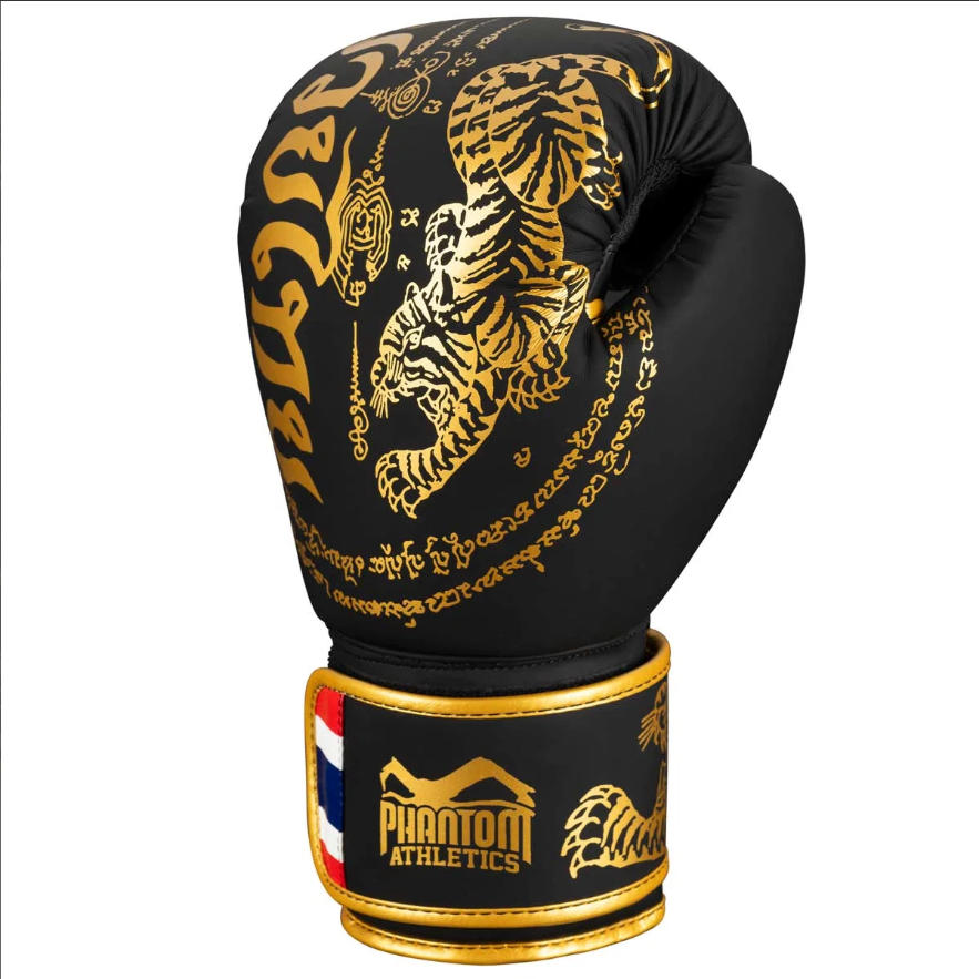 Phantom_Boxing_Gloves_Muay_Thai_Black_Gold_2.jpg.png