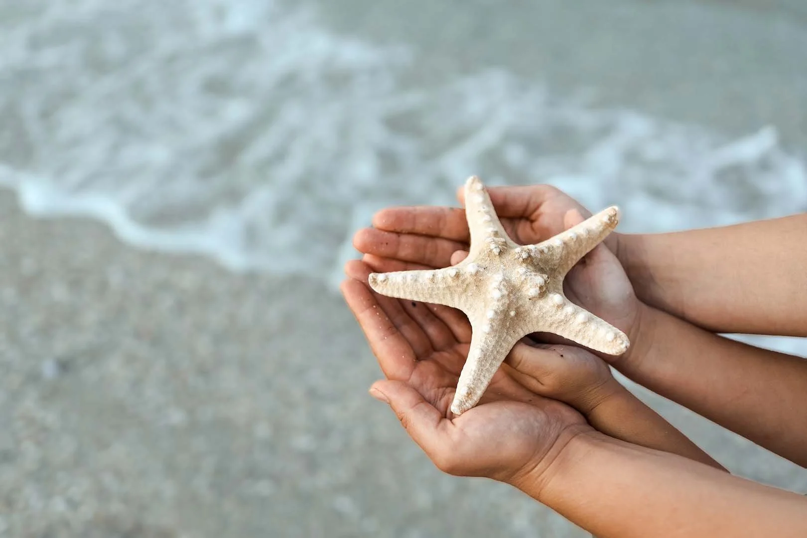 Two hands holding gently Hakomi Psychotherapy Sitges Garraf