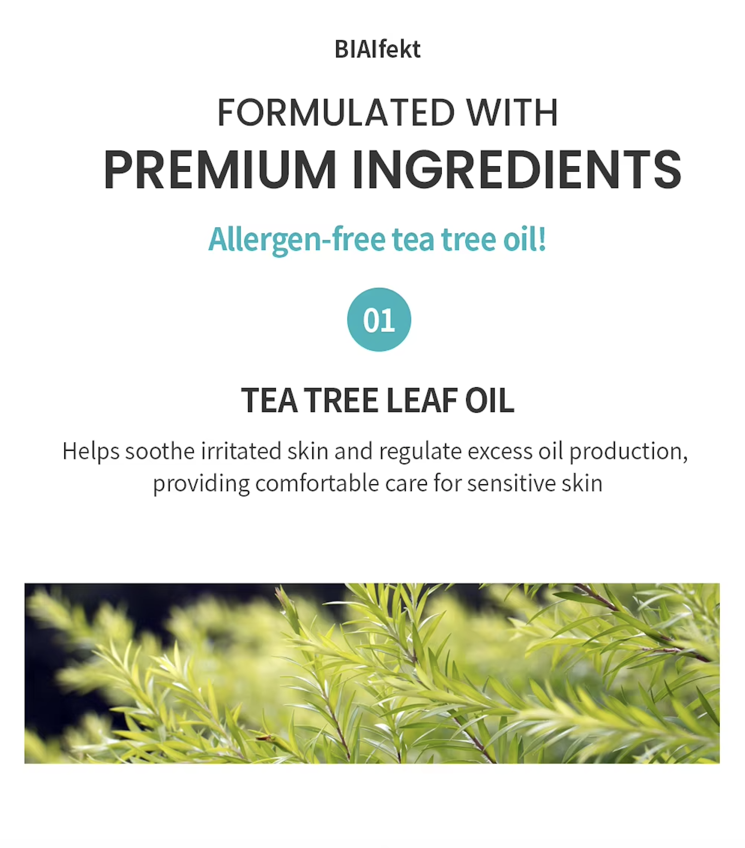 BIAIFEKT Tea Tree Mask 02.png