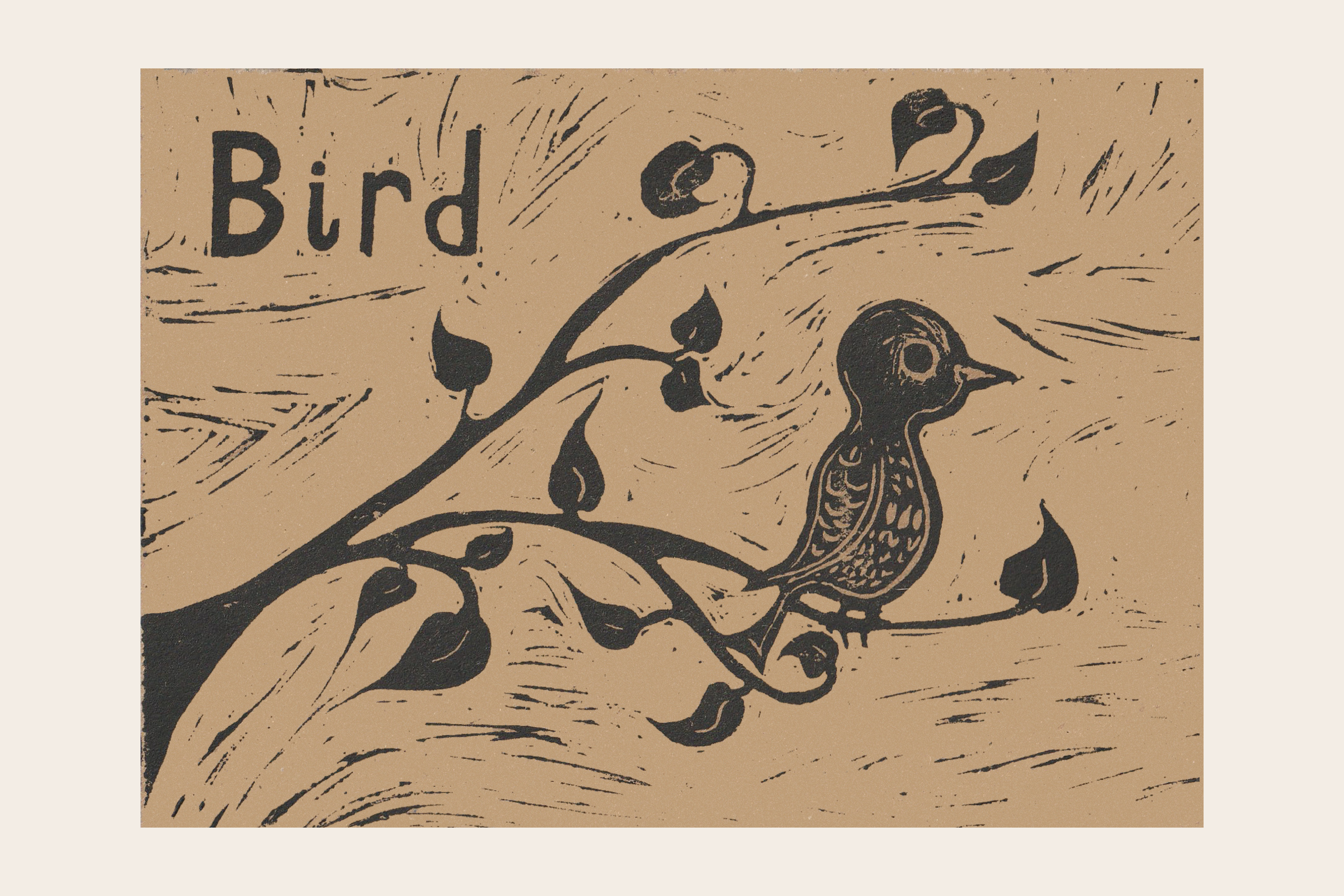 BIRD.png