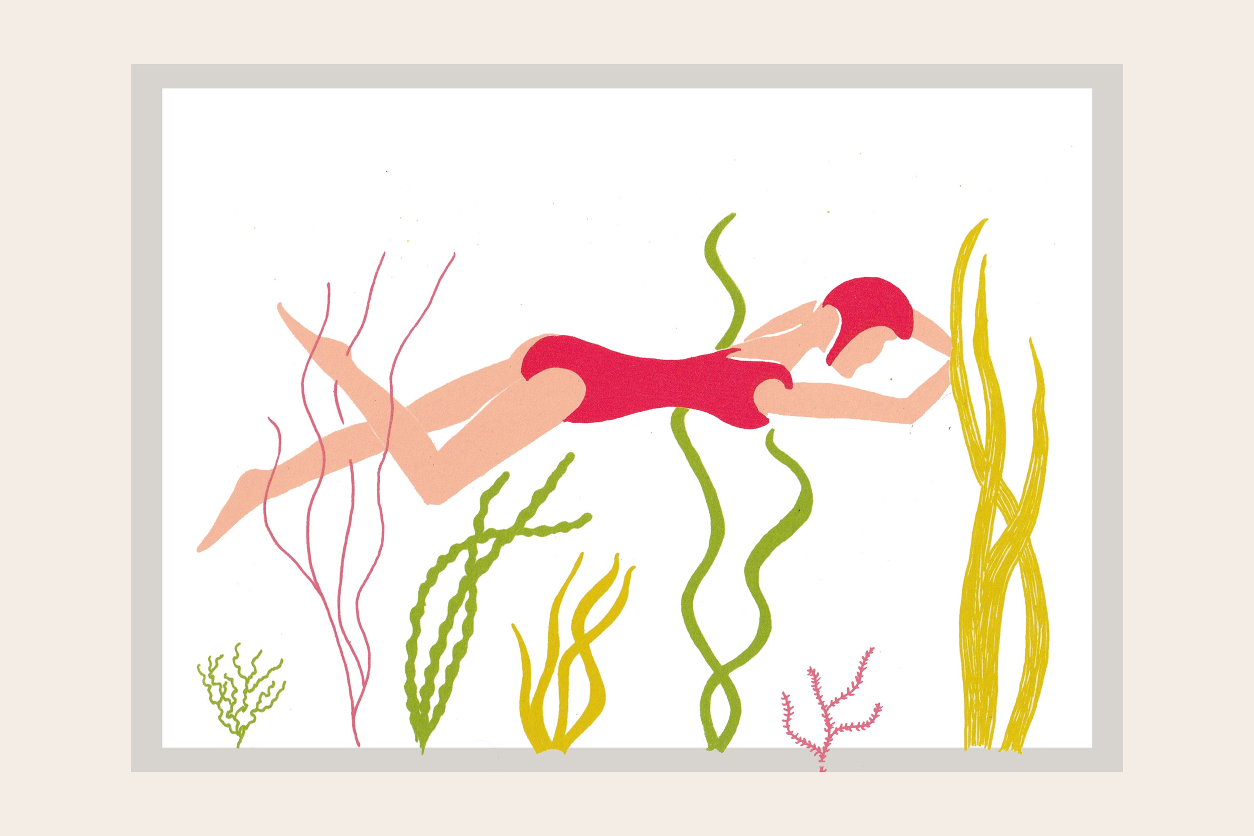 WILD SWIMMER.png