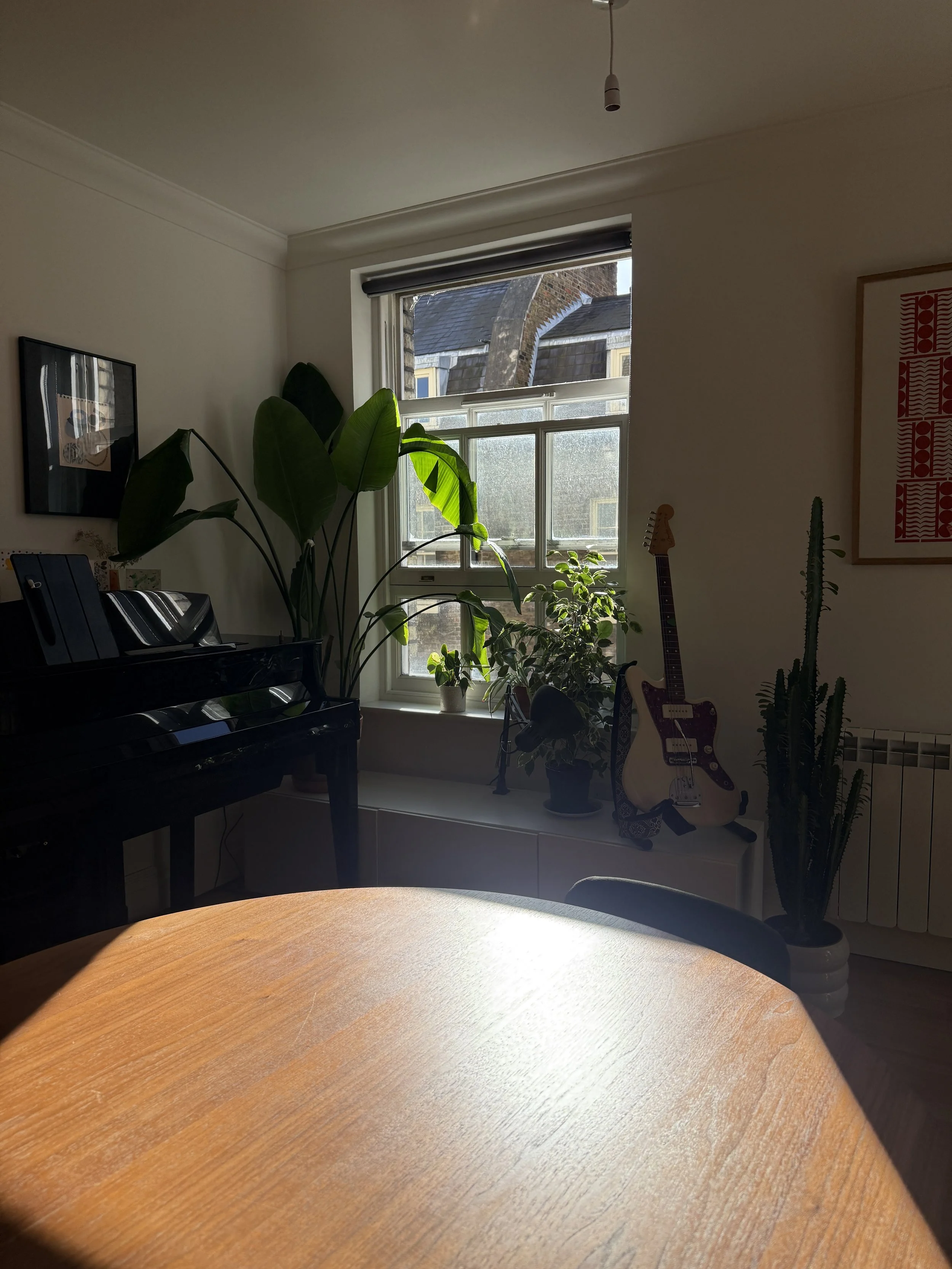 Renter-friendly external awning