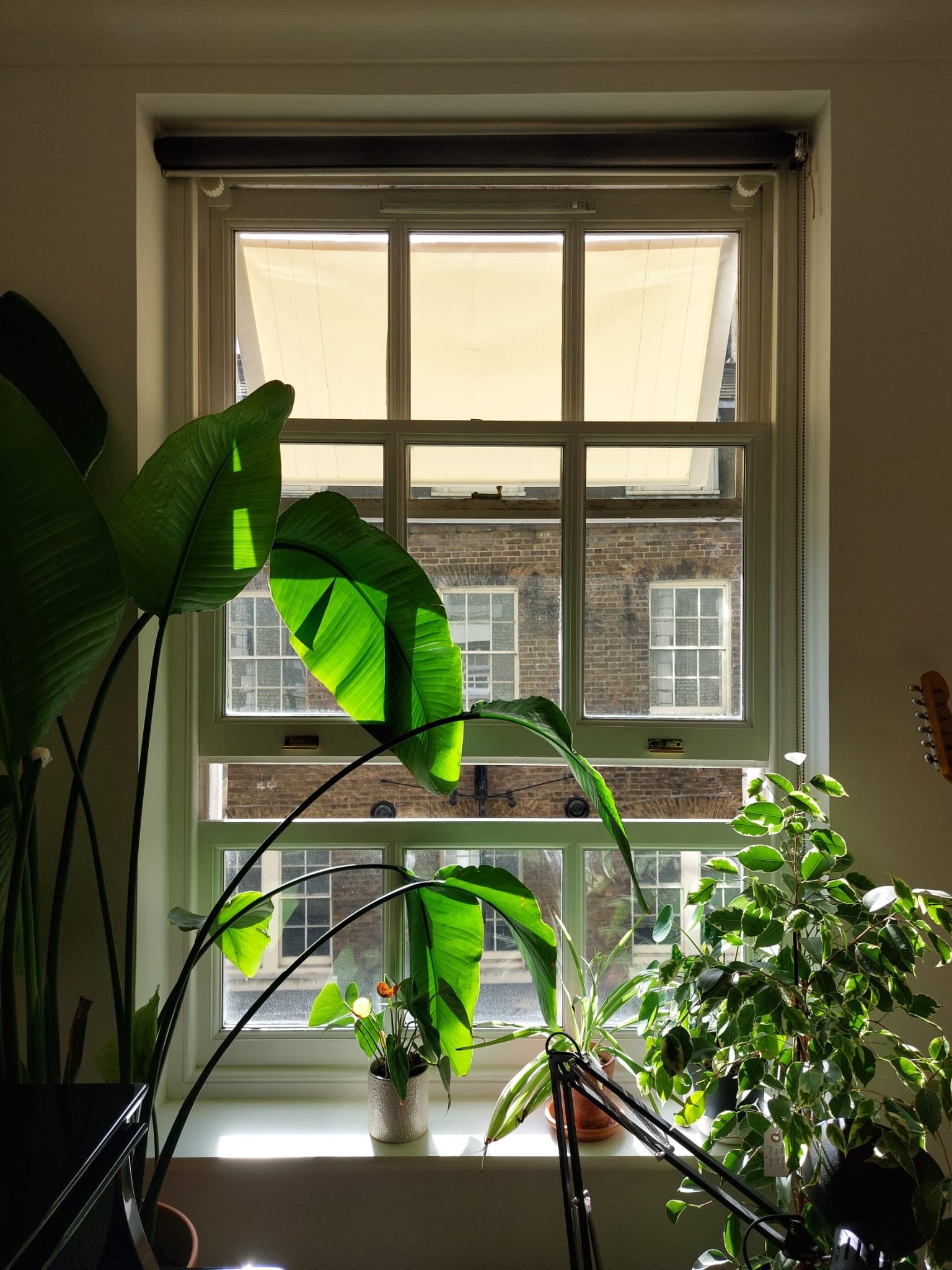 Passive cooling solution by Shaded