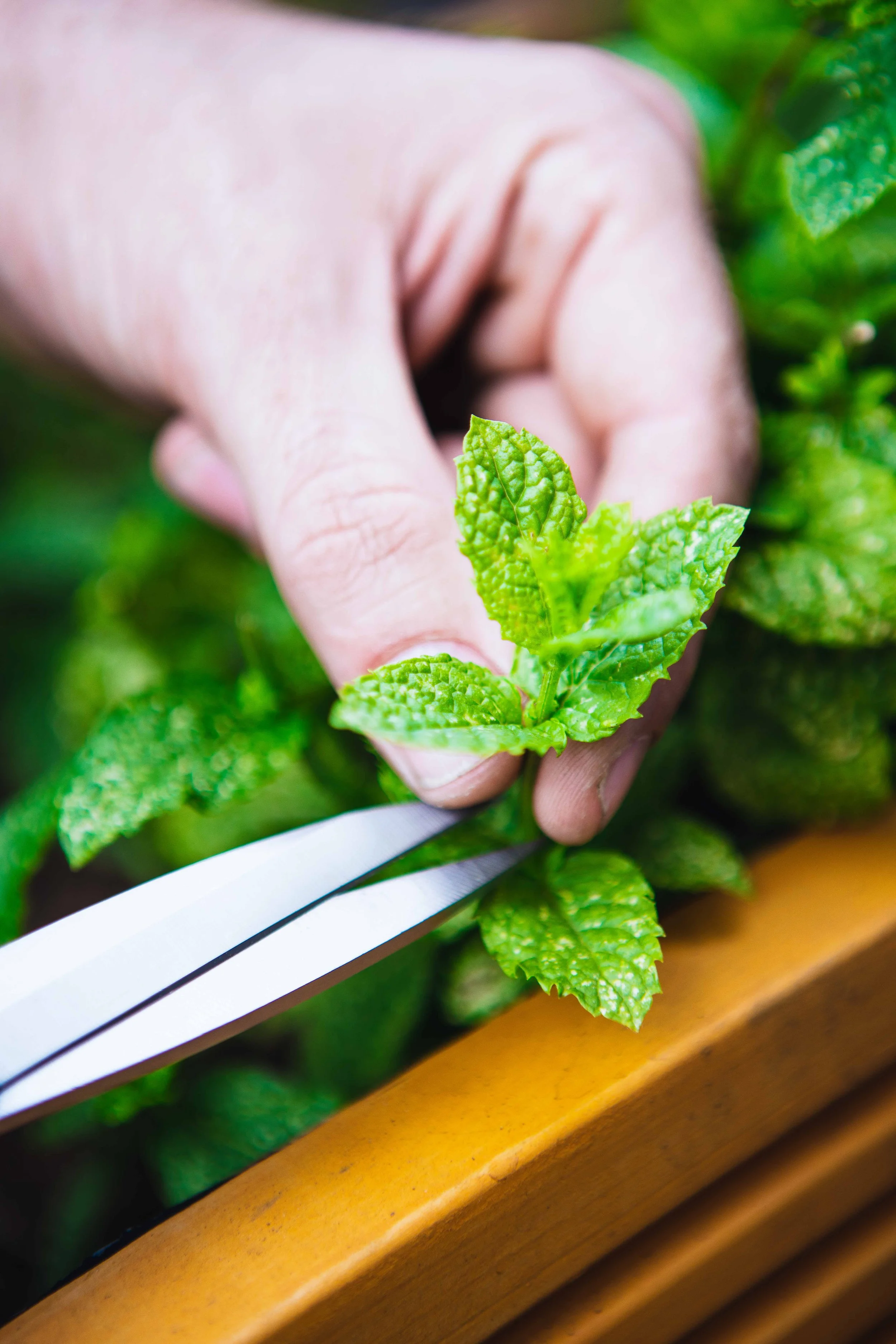 Ole Ole 29.06.23-3.jpg