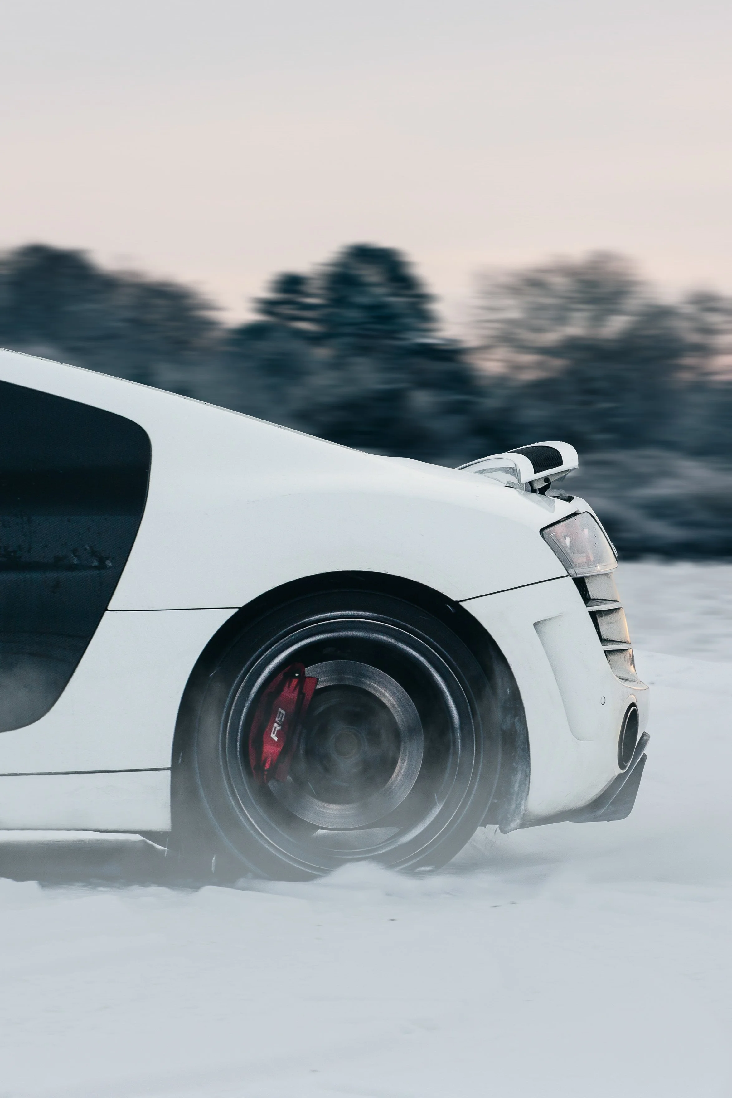 R8 Snow25 copy.jpg