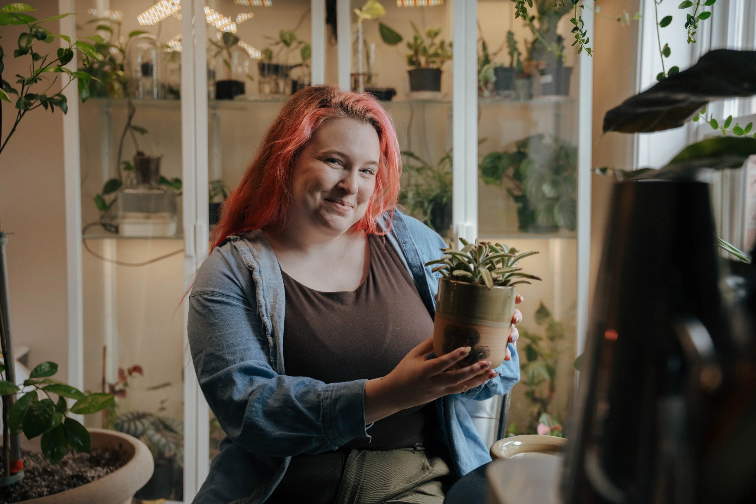 How to Use Cover Pots: The Secret to Healthy Houseplants