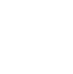 vertebra
