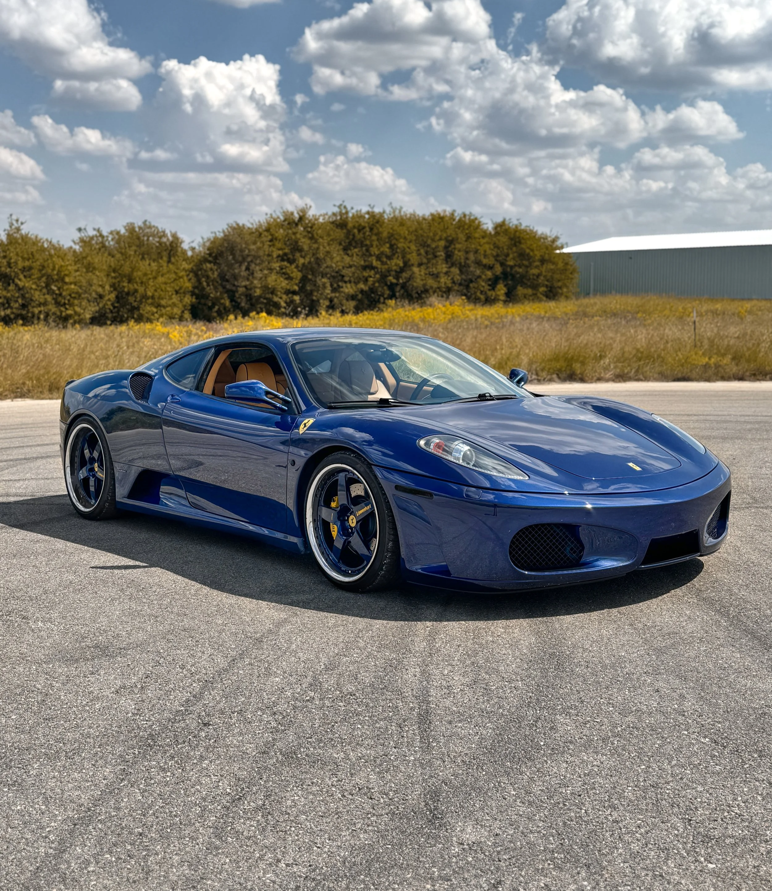 IMG_9913 (1).png
