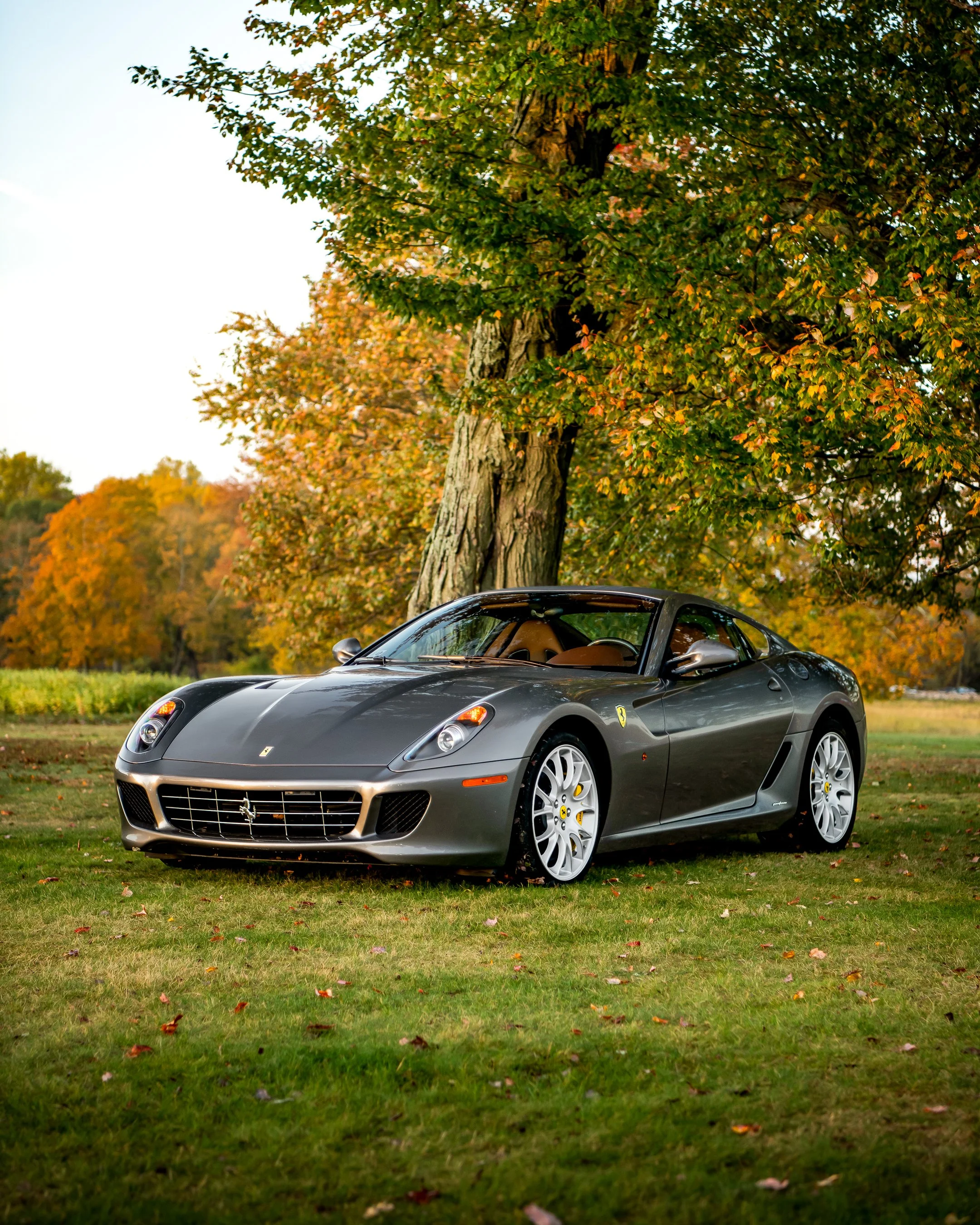 Ferrari 599 Conversion Assembly