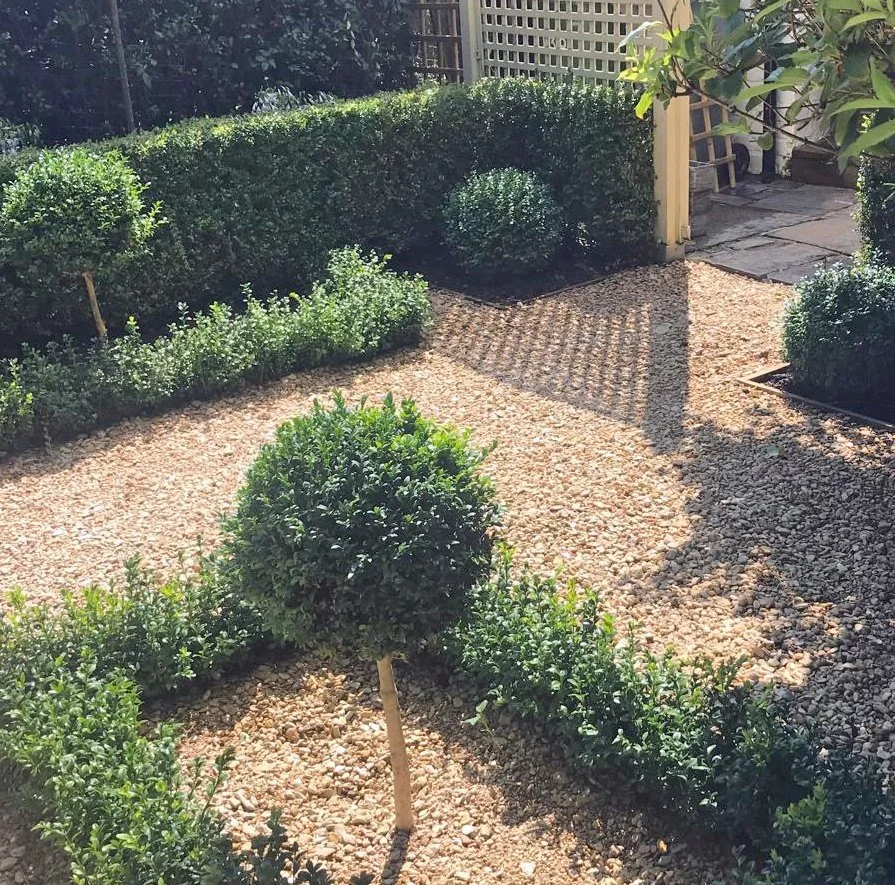 gravel garden planting design Yorkshire drought tolerant scheme