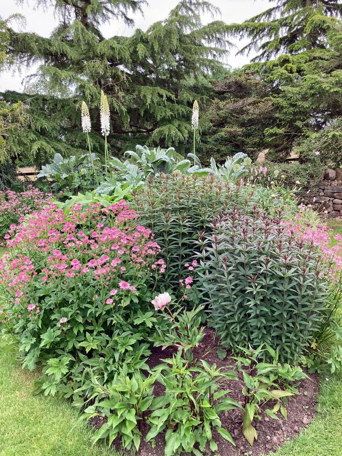 garden design layout plan with structured planting scheme