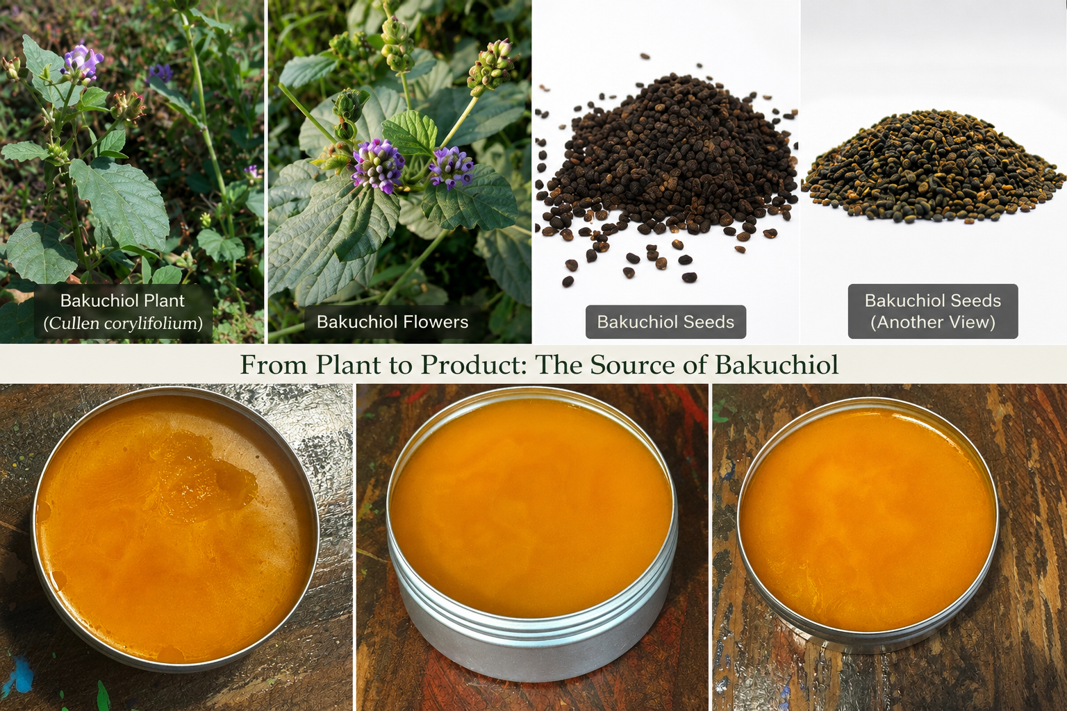 What Is Bakuchiol—and Why Are We Putting It in Alpin-Glow?