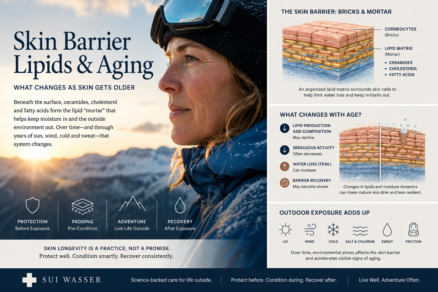 Skin Barrier Lipids &amp; Aging: What Changes as Skin Gets Older