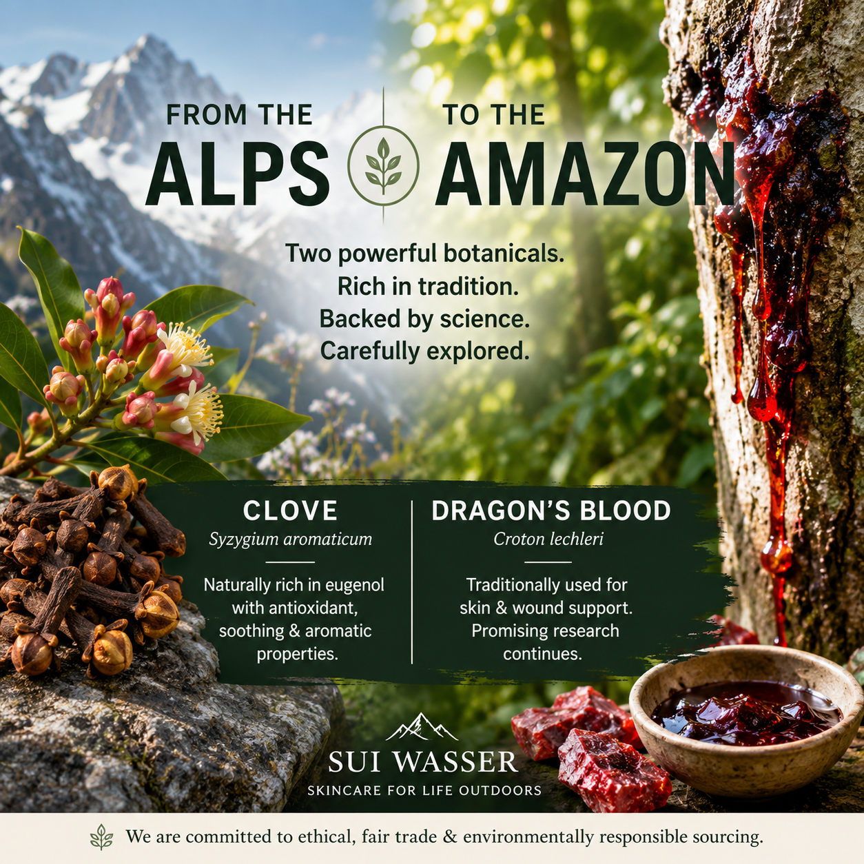 From the Alps to the Amazon: Two Botanicals We’re Exploring for Fall