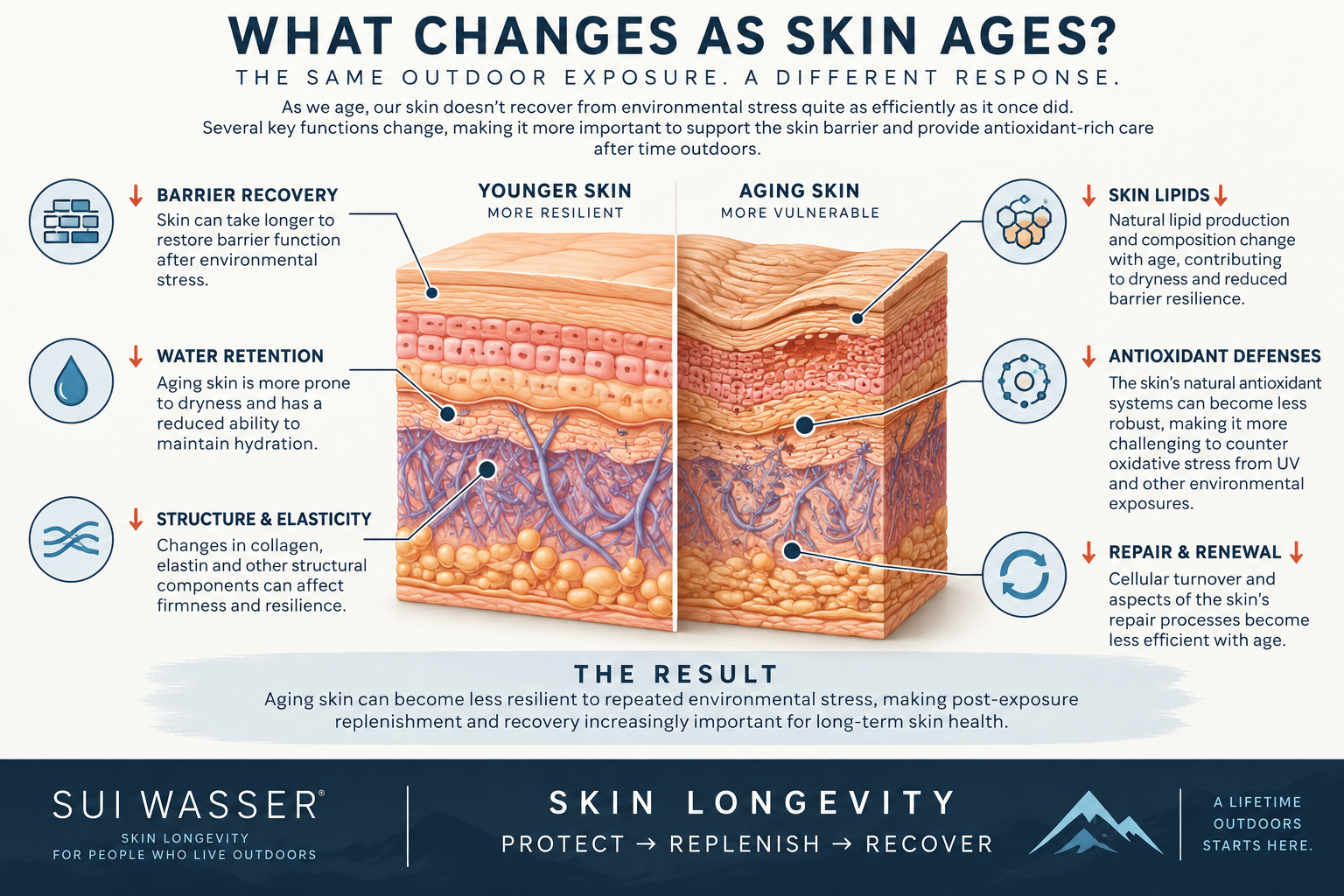 A “Nutrition Bath” for Aging Skin