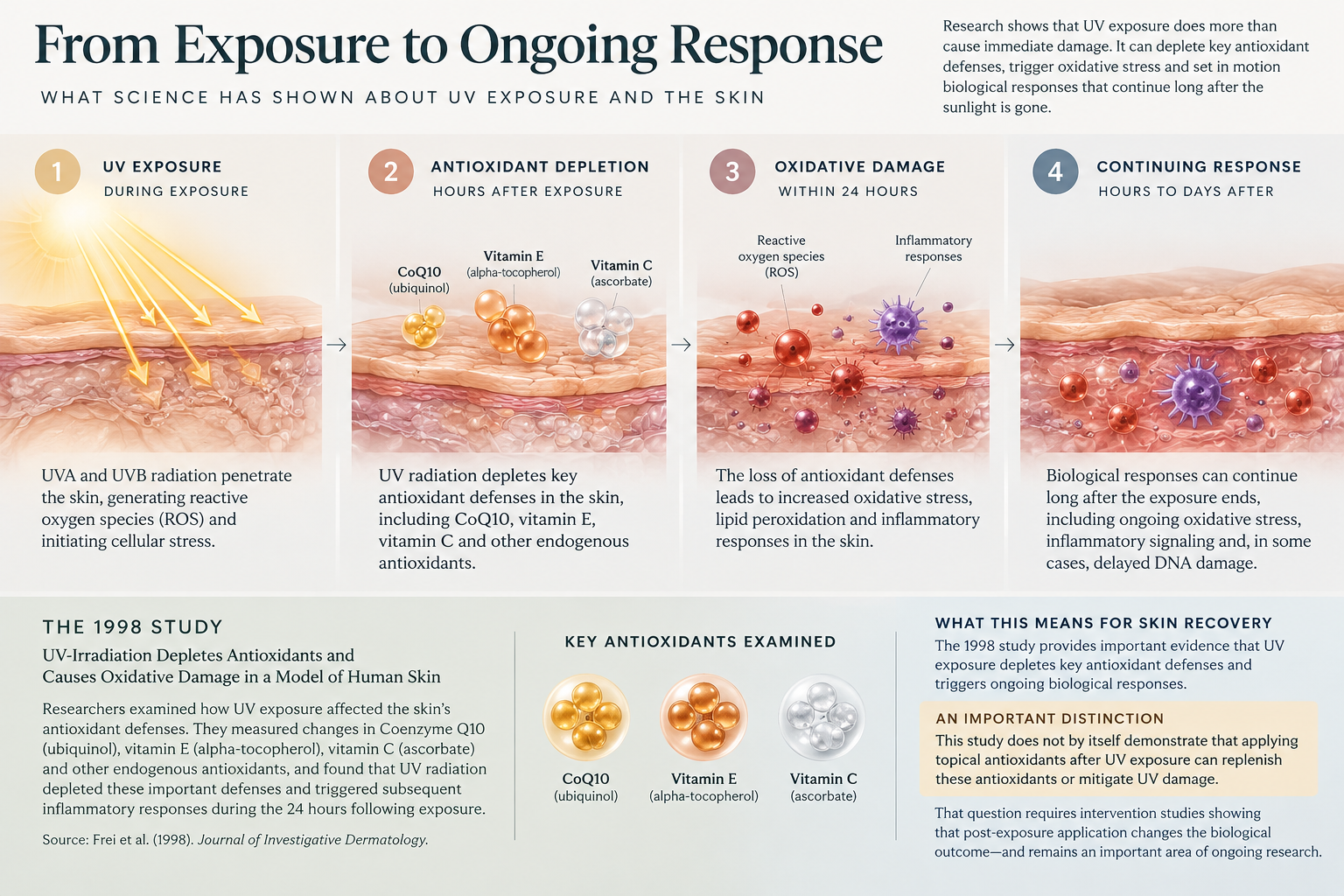 The Hidden Battle Your Skin Fights After Outdoor Adventures