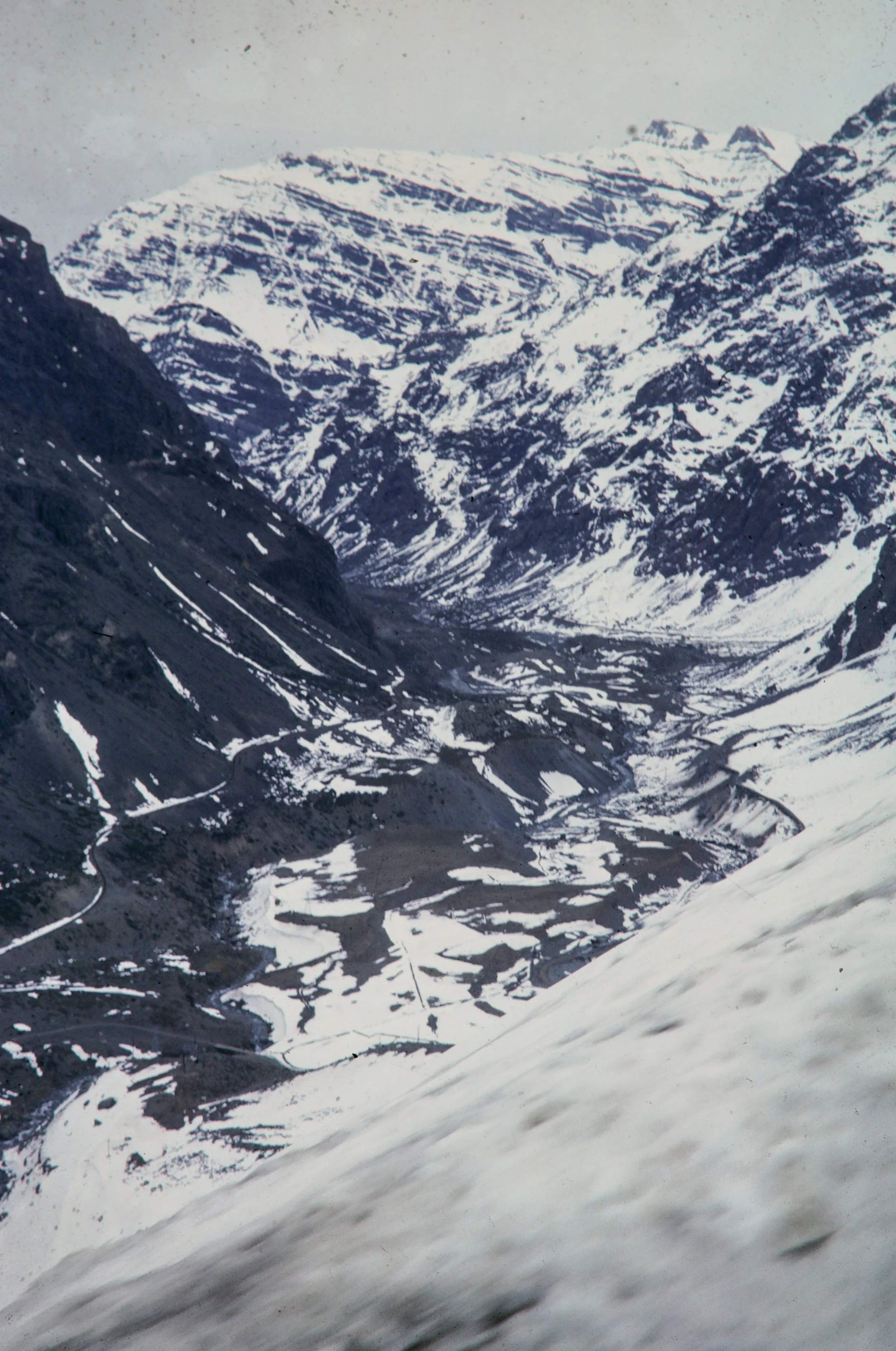 1966 Portillo Racing_003.JPG