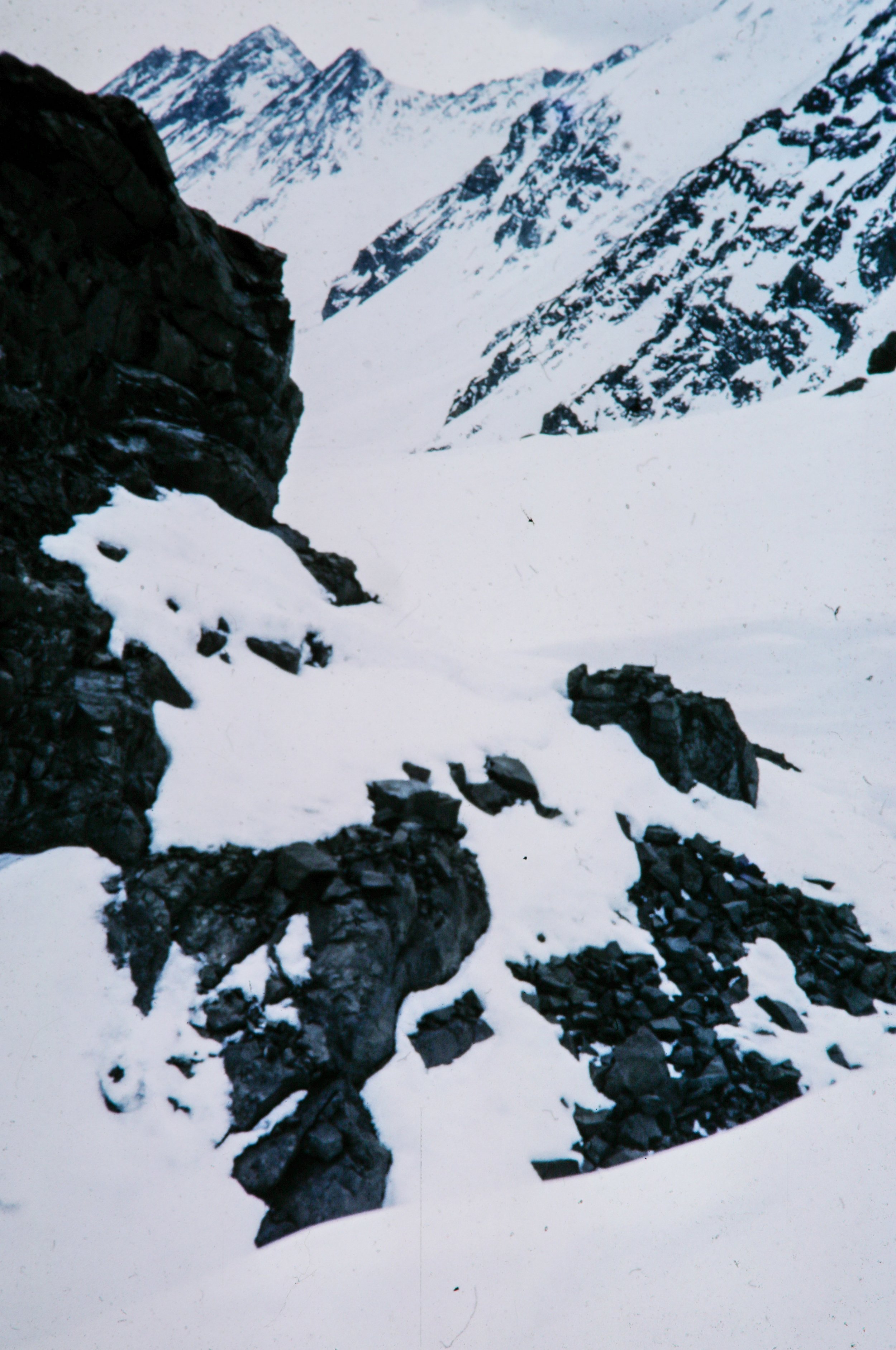1966 Portillo Racing_004.JPG