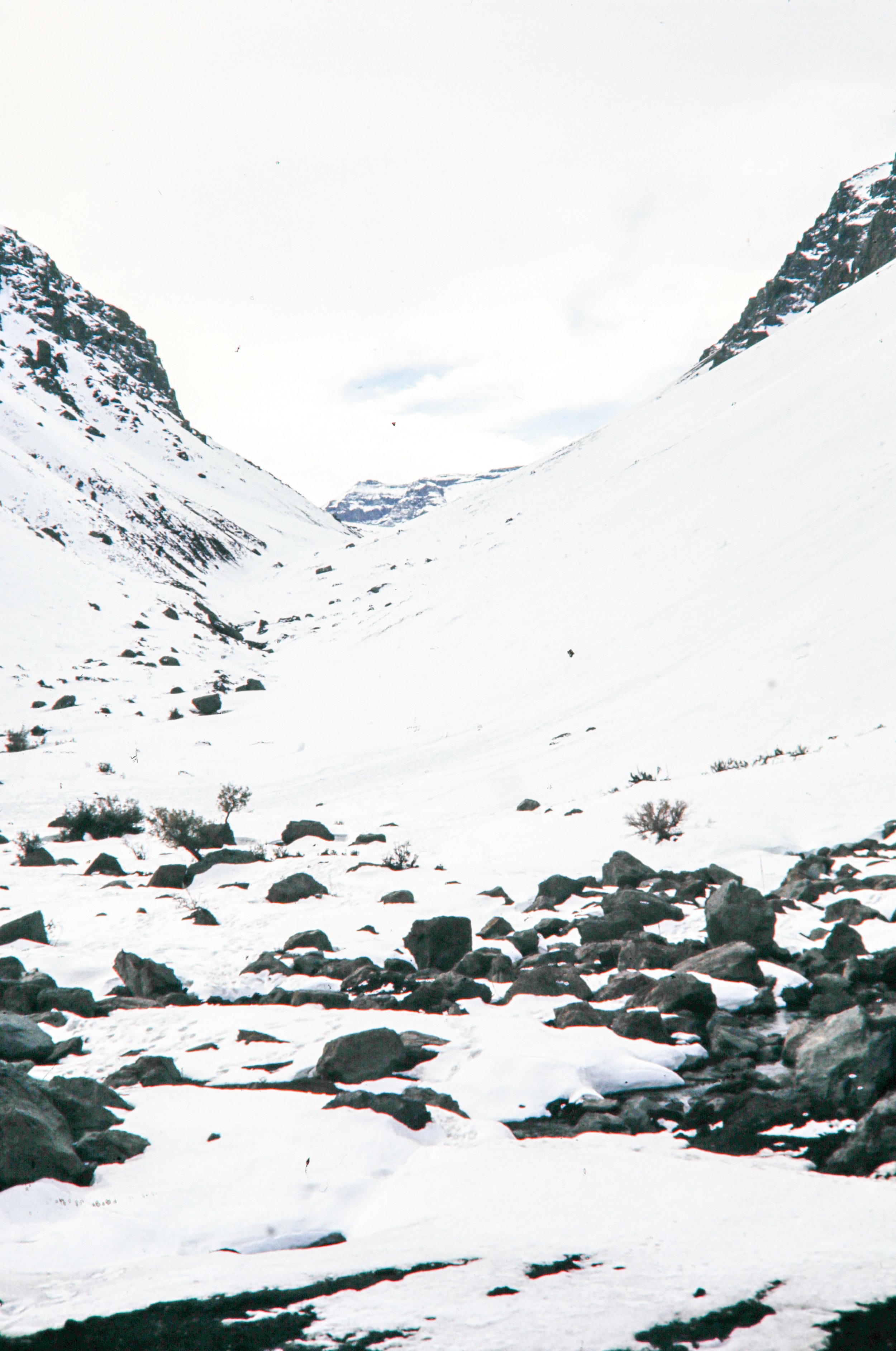 1966 Portillo Racing_007.JPG