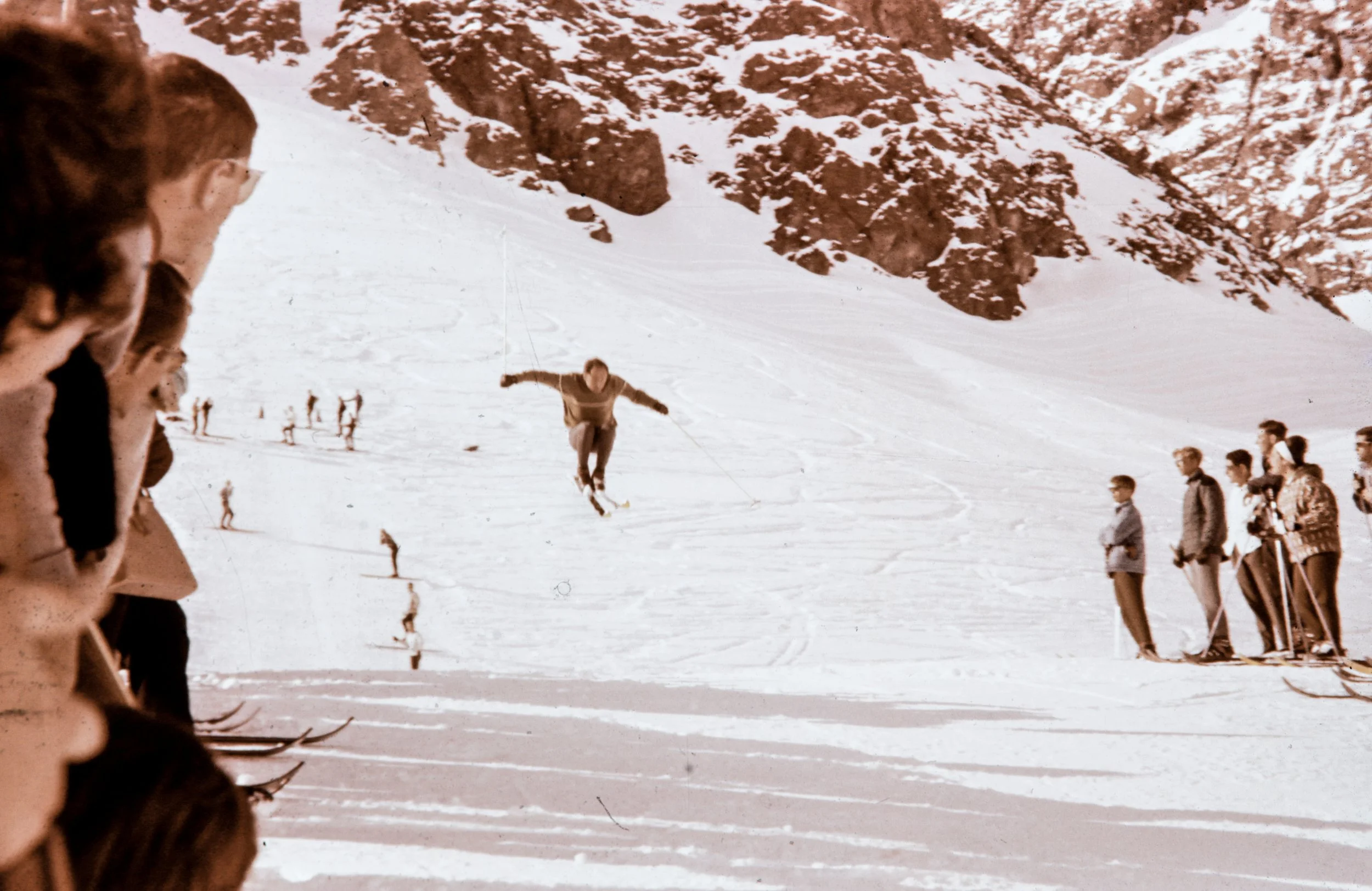 Why Ingredient Diversity Matters for Skin Longevity
