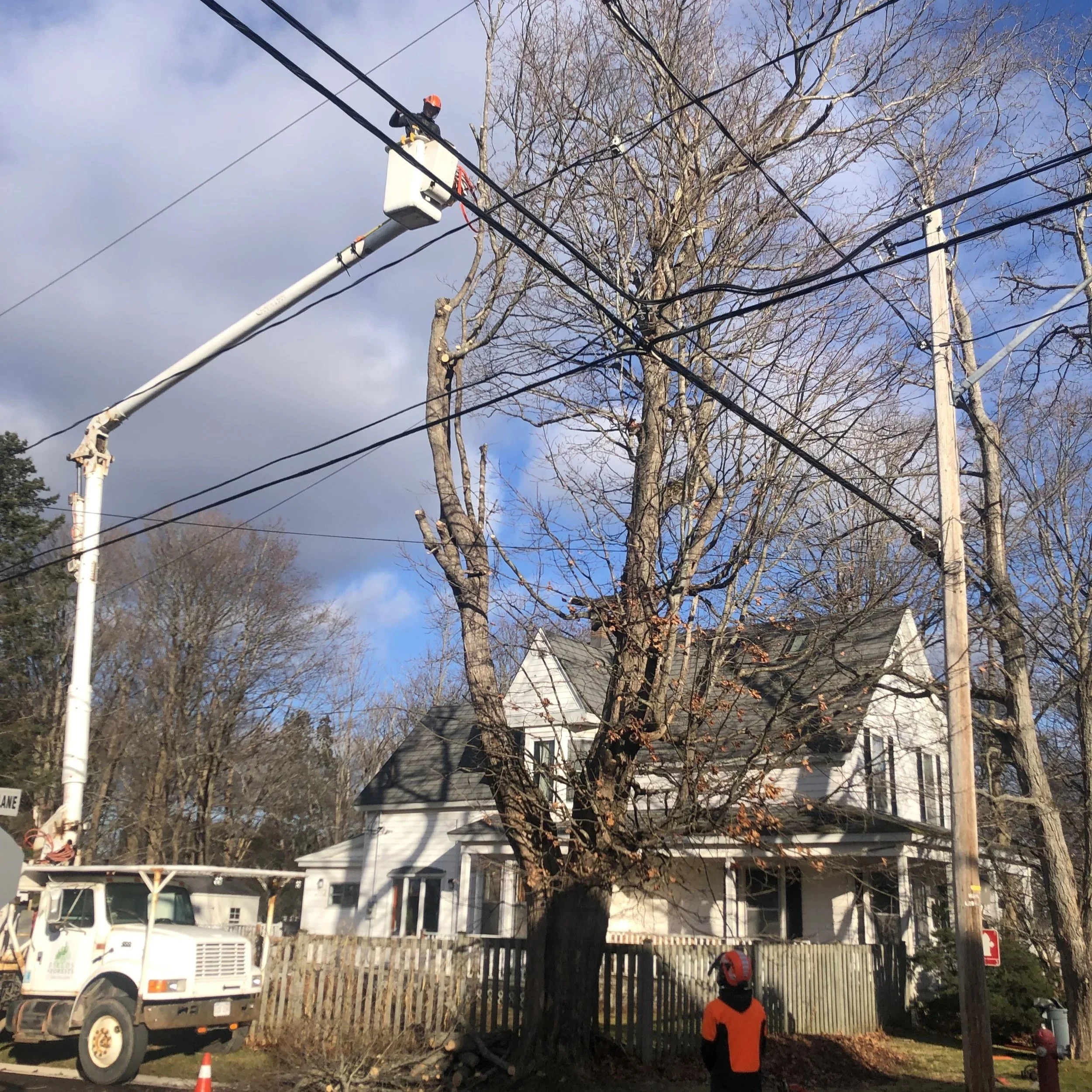 Certified and professional arborist in high-vis using a bucket truckt to remove a large tree over power lines and multiple properties in sackville new brunswick